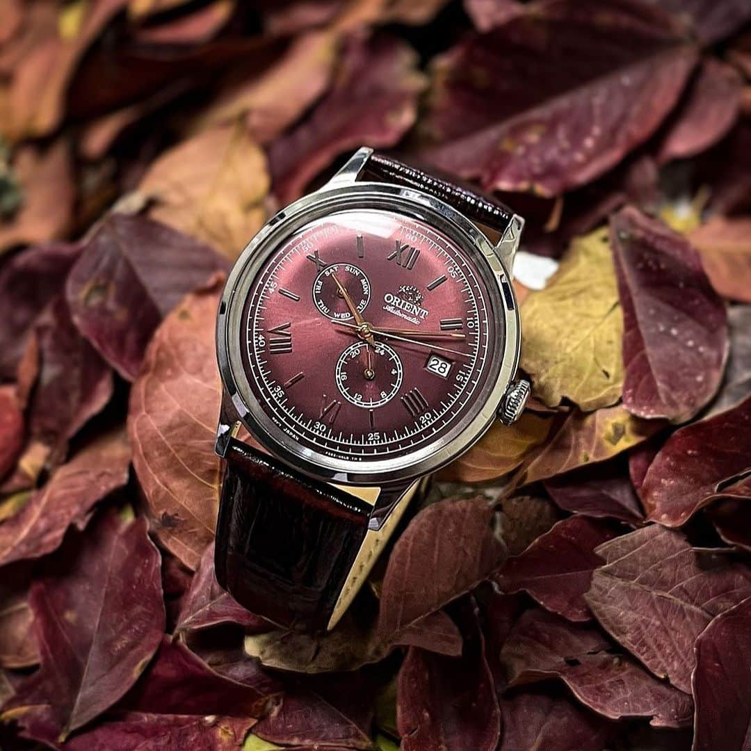 Orient Watchのインスタグラム：「A blend of inspirational tones–the Bambino Version 8.  ⌚️: ORIENT BAMBINO VERSION 8 | RA-AK0705R10B」