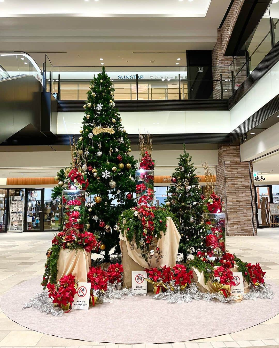 大阪・東京のアクアリウムならa.a.c.のインスタグラム：「クリスマス装飾施工しました🎄🐠 . 千里中央の商業施設『SENRITOよみうり』にて12\25までディスプレイしています🎄 . アクアリウムフラワーアレンジメントと雪のように舞うエンゼルフィッシュたちにぜひ会いに来てください🐠🌹 . . . #インテリア #インテリアアクアリウム #水草 #水槽 #水槽のある暮らし #熱帯魚 #海水魚 #水槽レンタル #水槽メンテナンス #大阪 #東京 #アクアポニックス  #art #aquarium #fish #空間デザイン #オフィスデザイン #オフィスグリーン #オーダーメイド水槽 #インテリアコーディネート #グリーンコーディネート #内装デザイン #水槽設計 #水槽施工 #北堀江 #センリトよみうり #クリスマス装飾」