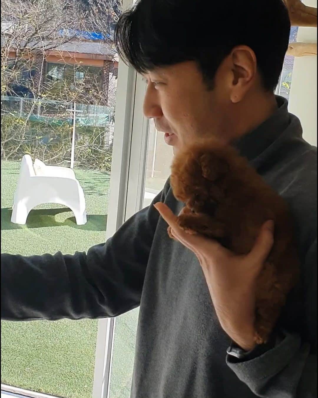 Rolly Pups INCのインスタグラム：「We can FaceTime/video call!📲 We know that you are anxious to see your new potential baby😍 You can watch your new puppy interacting with people, other puppies, and may potentially hear their new parent’s voices❤️  They have their feeding time, napping time, etc. so please get with our representatives for the scheduling of the facetime/video calls😌」