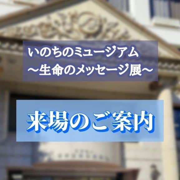 東京観光専門学校さんのインスタグラム写真 - (東京観光専門学校Instagram)「いのちのミュージアム ～生命のメッセージ展～  場所:東京観光専門学校B号館2階 日時:11/23日(祝)　10時～17時 　　 11/25日(土)　10時～16時30分 　　 11/26日(日)　10時～16時30分  いのちのミュージアムと、ご遺族の方々の 協力により 『生命のメッセージ展』を開催いたします  いのちとは？ 沢山のメッセージを込め 30命のメッセンジャーが 伝えてくれること・・・  お問い合わせ:葬祭ディレクター学科Instagram DMまたはお電話:03-3235-2228へ  当日のご来場もお待ちしております #東京観光専門学校　#葬祭ディレクター学科　#学園祭　#いのちのミュージアム」11月16日 11時17分 - tokan_1967