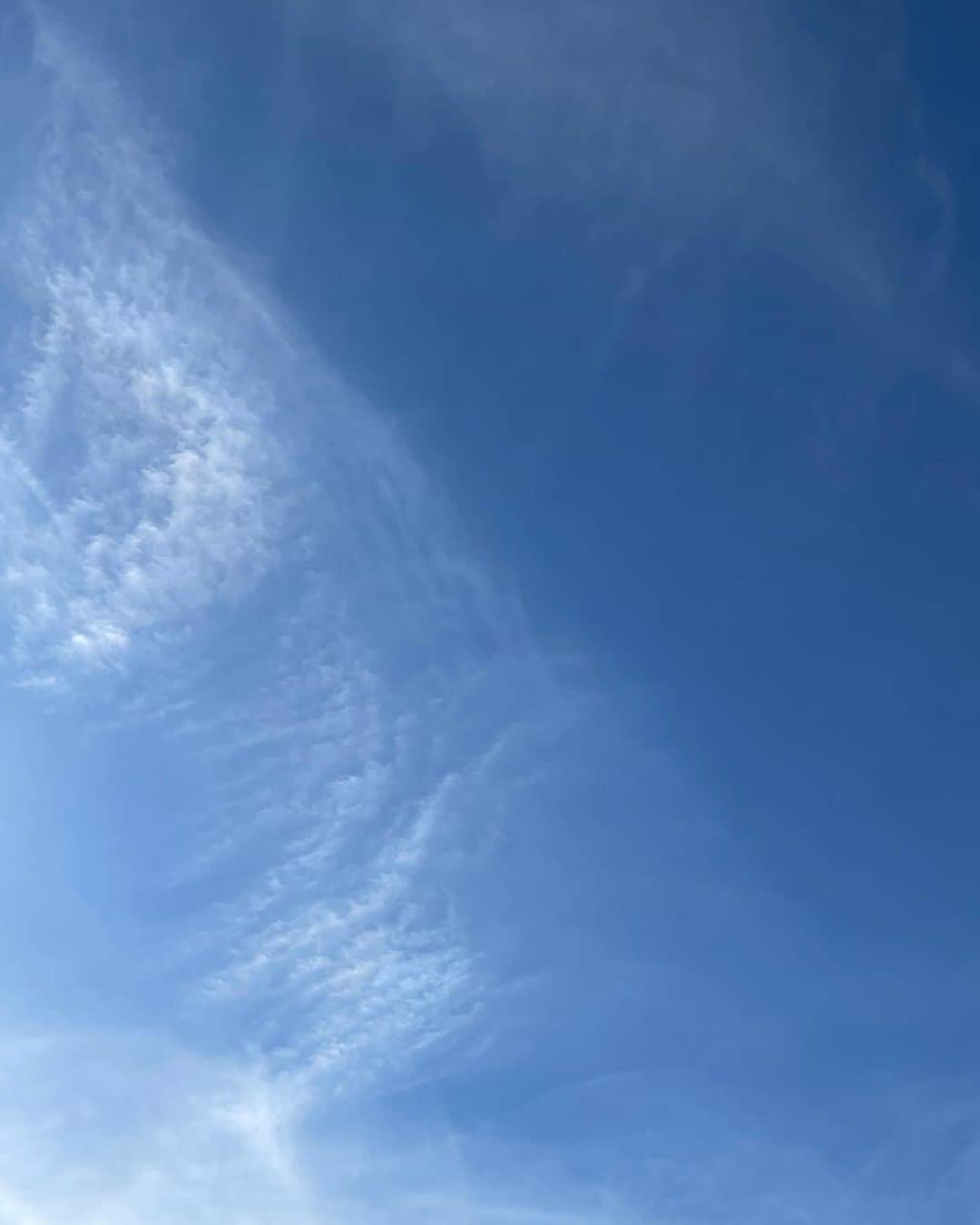 遠山裕介さんのインスタグラム写真 - (遠山裕介Instagram)「気持ちいい〜☀️  この天気癒される、、、  子どもに会いたいなぁ〜」11月16日 12時26分 - tohyamayusuke