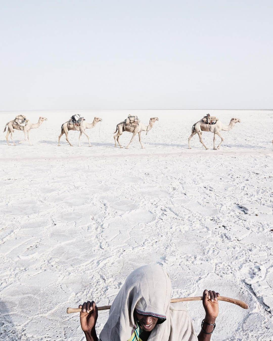 thephotosocietyさんのインスタグラム写真 - (thephotosocietyInstagram)「Photos by @andrea_frazzetta // Located in northern Ethiopia’s Afar Triangle, the Danakil Depression is where three tectonic plates meet. This vast plain is the homeland of the Afar nomads, who live off extracting minerals, namely salt, in one of the most inhospitable places on Earth. Follow @andrea_frazzetta for more images and stories. #Africa #Ethiopia #Danakil」11月16日 12時46分 - thephotosociety