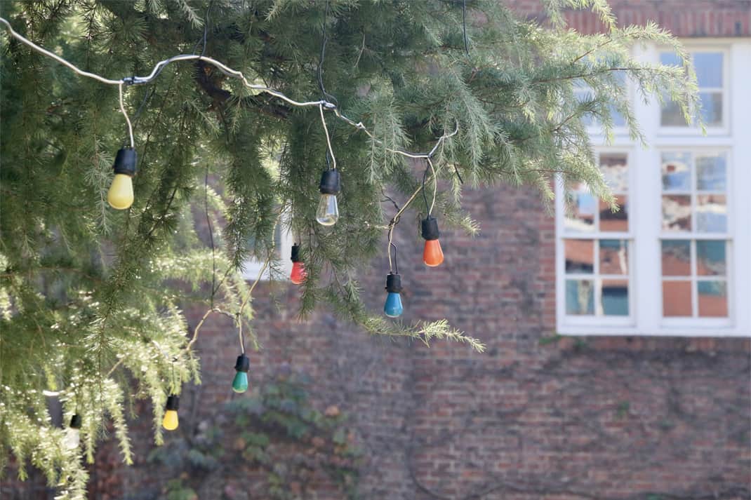立教大学さんのインスタグラム写真 - (立教大学Instagram)「#ChristmasinRikkyo #イルミネーション #Illumination #coregraphy #photography #ファインダー越しの私の世界  立教の冬の風物詩、クリスマスイルミネーション。 点灯式に向けた準備が進み、池袋キャンパスの2本のヒマラヤ杉に約1000個の電球が取り付けられています。電球は、赤・青・黄・緑・オレンジ・透明の6色で、クレーンを使って電球の配置場所を調整します。  ■イルミネーション点灯式 池袋キャンパス＝11月27日（月）17時45分から 新座キャンパス＝12月4日（月）16時30分から  イルミネーション点灯式から始まる、立教大学ならではのクリスマスシーズンをお楽しみください。 ■Christmas in Rikkyo 2023 https://www.rikkyo.ac.jp/christmas/  #立教大学 #立教 #立大 #rikkyo #rikkyouniversity #japanuniversity  #大学 #大学生 #大学生活 #大学受験   #ikebukuro #池袋キャンパス #ヒマラヤ杉 #ヒマラヤスギ #クリスマス #Christmas  #Xmas #deodar #cristmas #christmastree #クリスマス #クリスマスツリー #coregraphy #photography #ファインダー越しの私の世界」11月16日 12時55分 - rikkyouniv