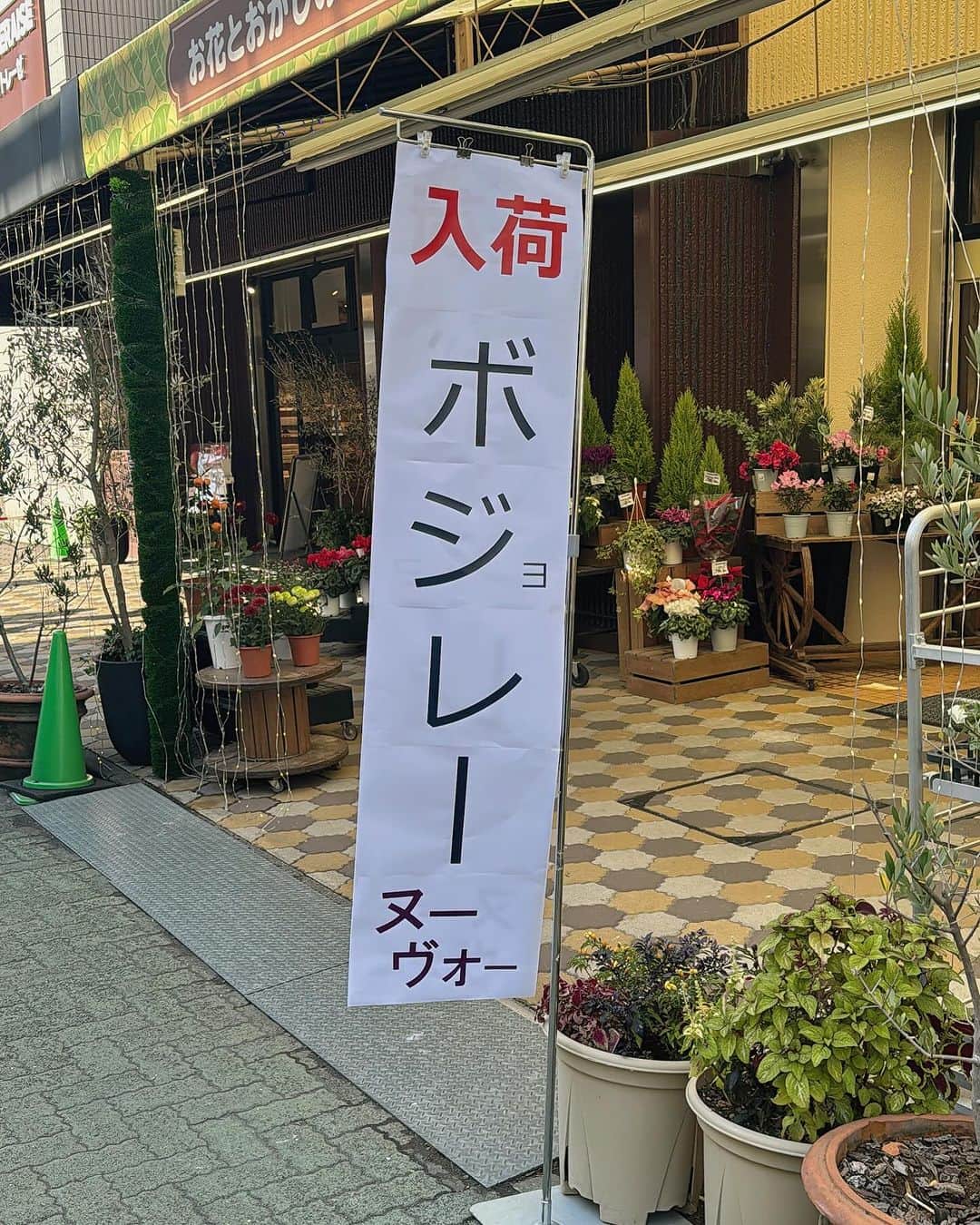 高畑正幸のインスタグラム：「今日の字体 ボジレー ヌヴオー  入荷」