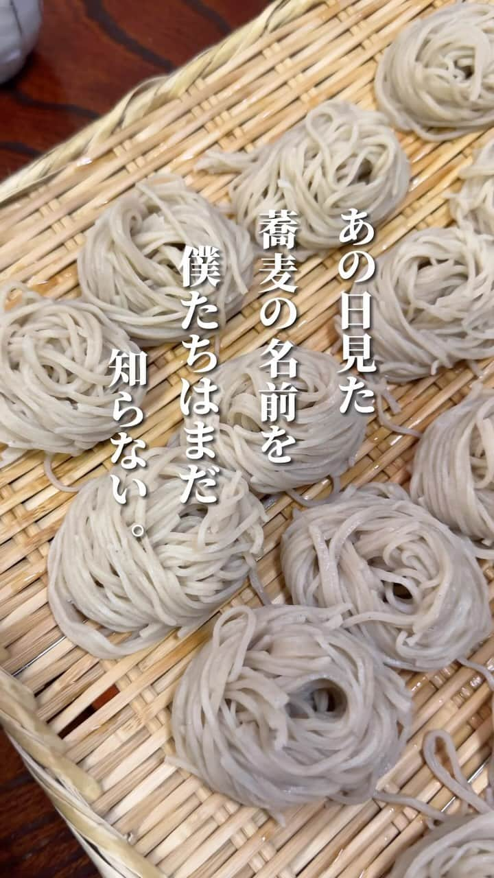 プリン王子のインスタグラム：「こんな蕎麦たべたことない！ 珍しい蕎麦をたのしめる蕎麦屋さん🍜  長野県松本にある野麦路さんは 創業33年のお蕎麦屋さん とうじ蕎麦が有名で あつあつの大きな鍋の中には たくさんの具とだし汁が入っていて ひと口サイズのそばをだしに浸してたべると そばのうまみを感じられるし 体があたたまっておいしいの🤤  🏯そば処 野麦路 とうじそば 1,750円 📍長野県松本市大字島立454-1 スズキアリーナB1  #長野グルメ #松本グルメ #長野観光 #蕎麦 #そば #野麦路 #グルメな人と繋がりたい #japantrip #japanesefood #noodle #japanesenoodle」