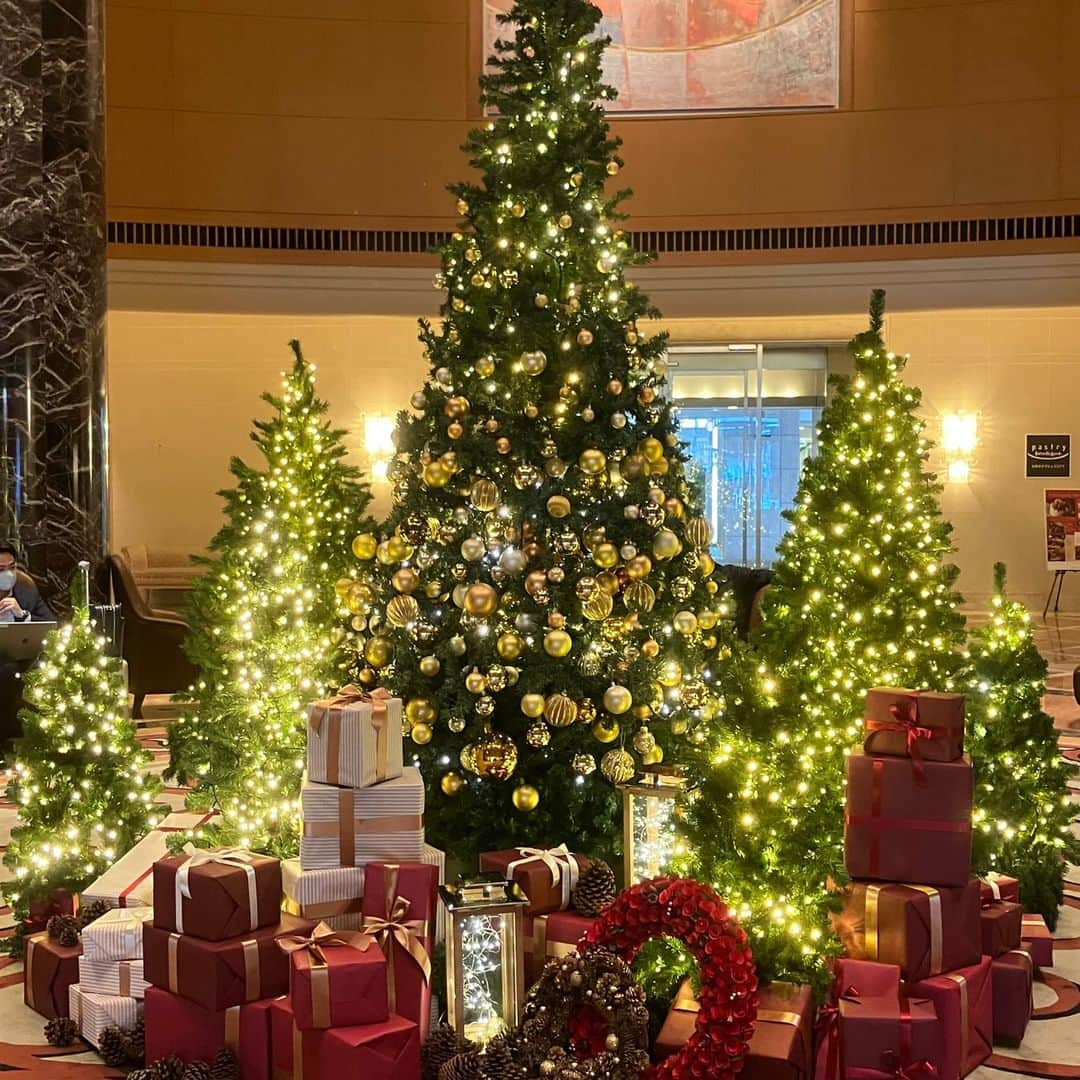 ホテルオークラ福岡のインスタグラム：「ロビーにクリスマスツリーを飾りました。 空気が冷えてきたこの季節に、ツリーで輝く小さな灯が温かく感じられます。  ☆彡 ◆ホテルオークラ福岡 福岡市博多区下川端町3-2 TEL.092-262-1111 ★　★　★　★　★　★  #hotelokurafukuoka #hotelokura #ホテルオークラ福岡 #ホテルオークラ  #クリスマスツリー  #クリスマス #xmastree  #xmas」