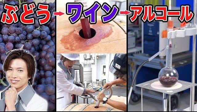 市岡元気のインスタグラム：「今日はボジョレー解禁日ですね！もう飲まれた方いますか？🍷 本日から長い年月をかけて撮影した動画公開しました」