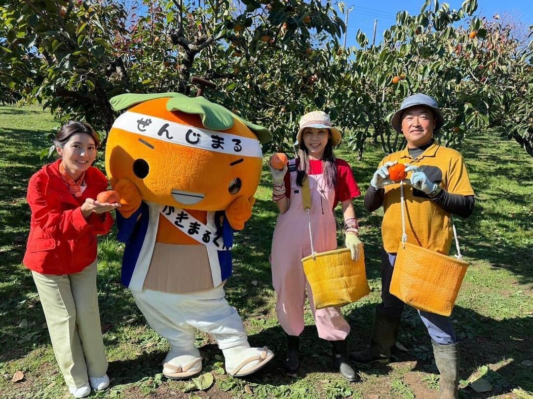テレビ朝日「グッド！モーニング」さんのインスタグラム写真 - (テレビ朝日「グッド！モーニング」Instagram)「今が旬！ 神奈川県川崎市の「柿」を取材しました！  収穫した柿はシャキッとした食感と上品な甘さがあり、 とっても美味しかったです！  そして、”柿×ご飯”の『かきこみご飯』🍚 タレの味付けに豆板醤も入っていて、 そのピリ辛さが甘い柿によく合うんです！  ぜひ試してみてはいかがでしょうか😌  #テレビ朝日 #グッドモーニング #あらいーな」11月16日 14時13分 - good_morning_ex