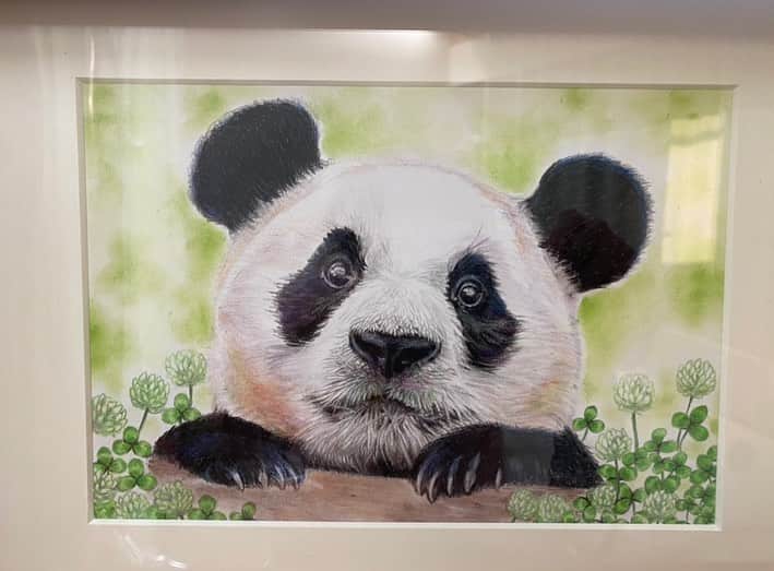 Coco gramのインスタグラム：「可愛い子をお迎えしました😍🐼 お名前は🌿パン君🐼🌿 今の私にぴったりの子🐼  【明日も笑顔で】  どうしたの？元気だしていこう1人じゃないよ。 僕がそばにいるよ。 という想いを込めて描いたものだそうです。  上野松坂屋さんに展示されていて @lateliertoile さんの作品になります。  きよすけさん素敵な力作をありがとうございました。 大切に致します。☺️」