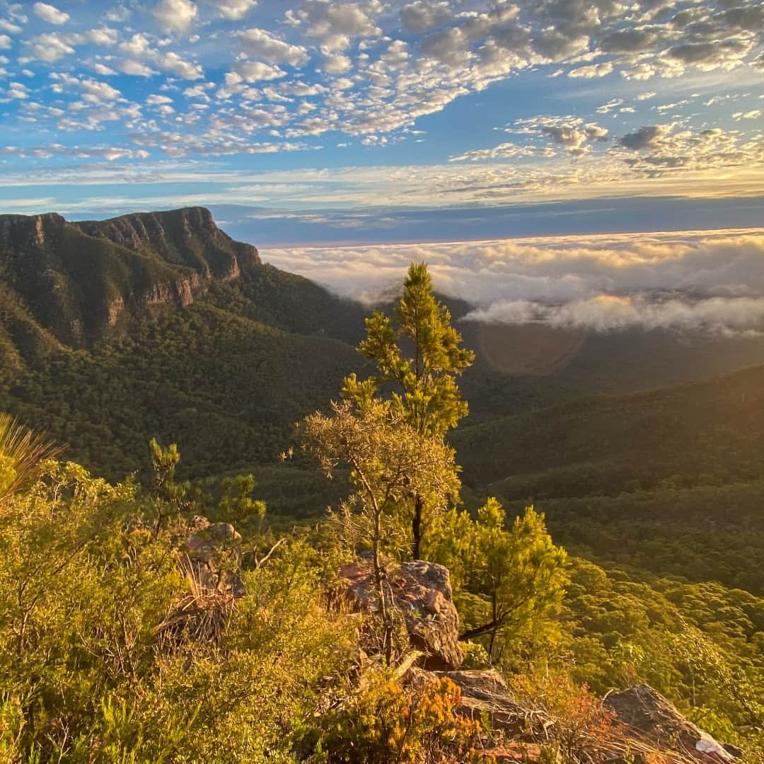 マックパックさんのインスタグラム写真 - (マックパックInstagram)「250 km northwest of Melbourne lies the spectacular 164km Grampians Peaks Trail. Macpac Ambassador Caro Ryan walked the trail solo over 13 days and has compiled a blog detailing the what, where, and how. If you plan on (or maybe just dream of) embarking on this epic mission, read Caro's blog (link in bio). #macpac #weatheranything」11月16日 15時01分 - macpac