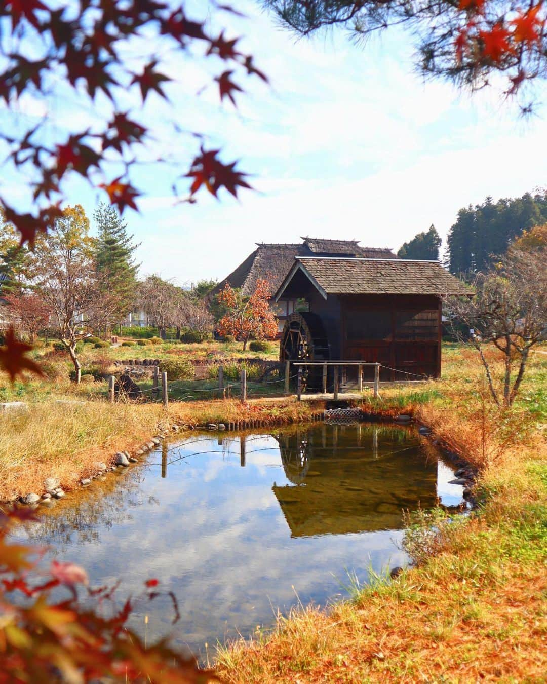 Rediscover Fukushimaのインスタグラム：「Last days of autumn in central Fukushima! 🍁 It is now getting colder and colder, and winter is fast approaching!   1 & 2: Adachigahara Furusato Village 🛖 An open-air museum and garden in Nihonmatsu. Yesterday, we visited and explored a samurai house and a rural kominka (traditional home). Also, there is a big play area for children onsite! During spring and summer, this park brims with flowers, so we would recommend visiting during spring next year to enjoy beautiful views! 🌼  3 & 4: Ja no Hana Gardens 🌹 A wide park located in Motomiya with lots of seasonal attractions. In spring, this place is famous for wisteria, while lotus flowers bloom beautifully in the summer. During autumn, the foliage colors look stunning, and there are roses in bloom now too! Also, there is an illumination event until November 19th (this Sunday!). 😊  5 & 6: Nihonmatsu Chrysanthemum Doll Festival 👘 Each year from October to November, a colorful flower festival brightens up the Kasumigajo Castle grounds at Nihonmatsu. This year, the Chrysanthemum Doll Festival goes until Sunday November 19th (this weekend!). If you visit, be sure to stop by the traditional teahouse onsite to enjoy matcha and wagashi (traditional Japanese confectioneries) while contemplating the beautiful foliage. 🍁  If you are interested in seeing more, you can find our livestreams at each of these places on our Facebook page! And please be sure to save this post for your next visit! 🔖   #fukushima #visitfukushima #visitjapanjp #visitjapanus #japantravel #japantrip #beautifuljapan #autumninjapan #nihonmatsu #japanese #beautifuldestinations #tohoku #tohokutrip #visitjapanau #visitjapantw #visitjapanca #visitjapanfr #visitjapanes #adachigaharafurusatovillage #janohana #kasumigajocastlepark #nihonmatsuchrysanthemum #chrysanthemum #traditionaljapan」