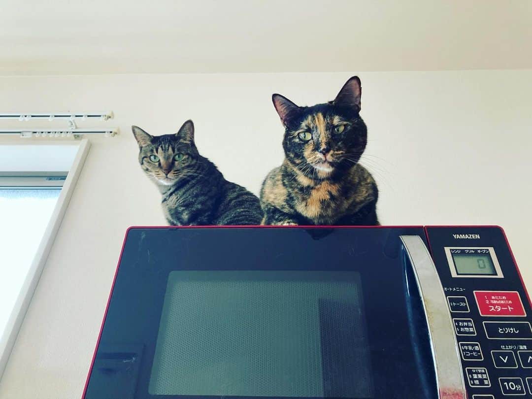 カミサマのインスタグラム