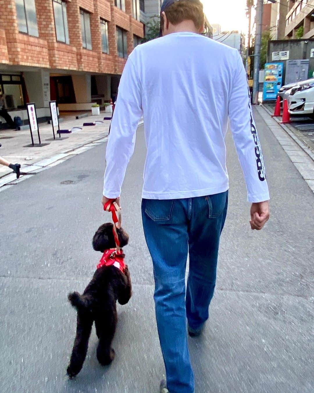 遠藤憲一さんのインスタグラム写真 - (遠藤憲一Instagram)「保護犬に会ってきました」11月16日 15時52分 - enken.enstower