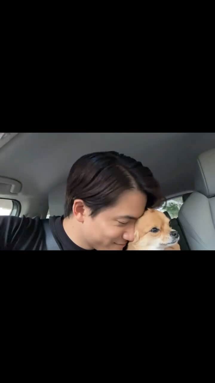 朝日奈寛のインスタグラム：「犬好き男子は好きですか？  #チワワ #チワワ部 #チワワのいる暮らし #犬好き男子」