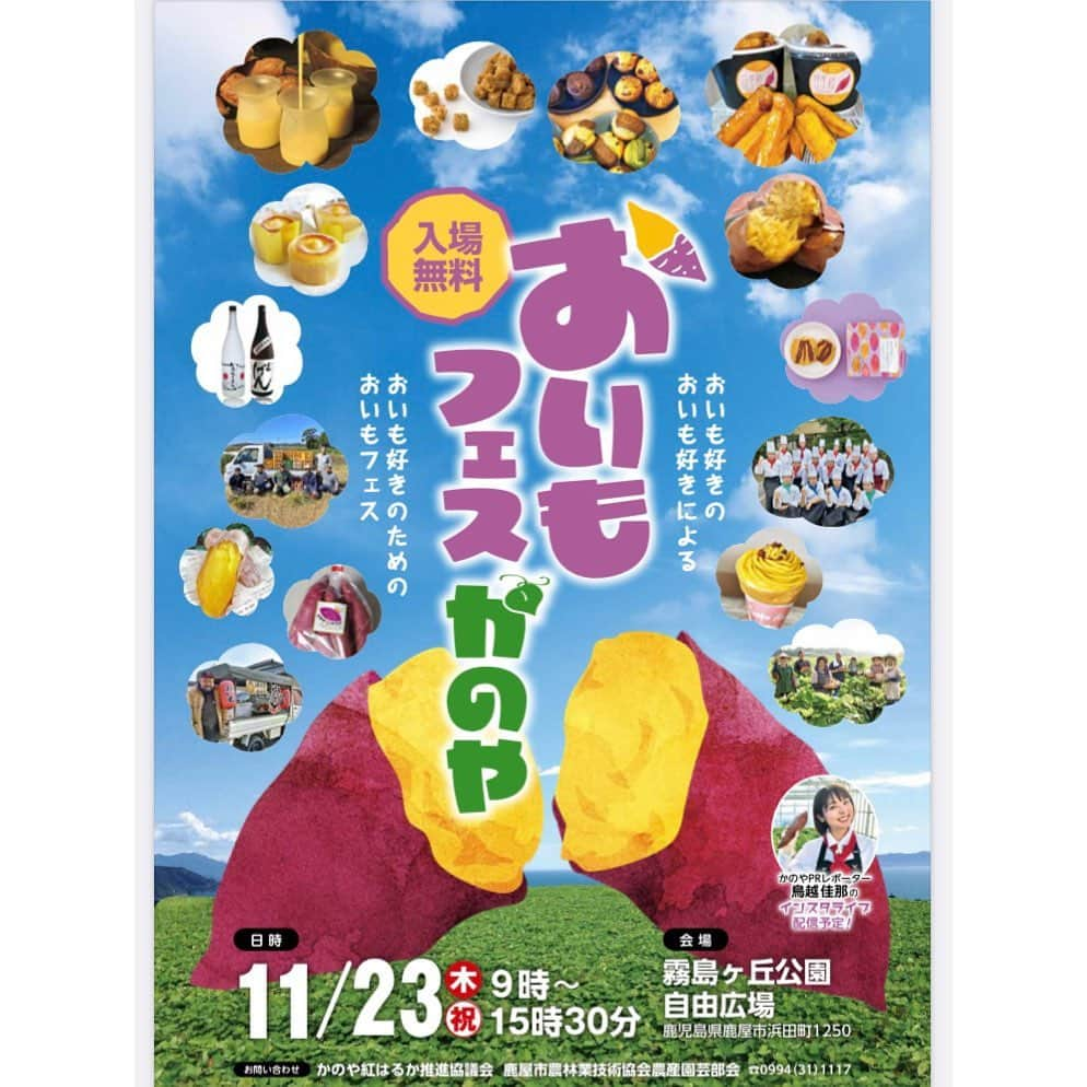 鳥越佳那さんのインスタグラム写真 - (鳥越佳那Instagram)「🍠11月23日(木)13:40頃～ 「おいもフェスかのや」会場から 高校生とコラボ配信します☺️🎤  いよいよ来週💡 待ちに待った 鹿屋市農業まつり＆おいもフェス💛🧡 @oimofes_kanoya  今年は 地元高校生とのコラボ企画が盛りだくさんです✨  🍠この日限定！おいもグルメ販売 🍠高校生デザインの公式グッズ 　　(Tシャツ・エコバッグ)販売 🍠おいもがテーマのフォトブース　などなど  \\おいもフェスかのや×地元高校生// で盛り上げてくれます🥰✨  さらに！ この限定グッズを 視聴者の方にもプレゼント予定🤭🎁✨  遠くにいる方も サツマイモの本場鹿児島・鹿屋の熱気を 感じていただきたいです🍠  LIVE中にコメントもお待ちしています😌 一緒においもフェスかのやを盛り上げましょう～🥰  ＝＝＝＝＝＝＝＝＝＝ 鹿屋市内のおいもグルメも集結🍠 詳しくは「おいもフェスかのや」の Instagramをご覧ください♪ @oimofes_kanoya  ＝＝＝＝＝＝＝＝＝＝ . . #鹿児島県 #鹿屋市 #かのや  #大隅半島 #visitosumi #農業 #さつまいも #さつまいもスイーツ #鹿屋市農業まつり  #おいもフェス #おいもフェスかのや #鹿屋スイーツ #かのやグルメ #地域おこし協力隊 #かのやPRレポーター  #さつまいもアナウンサー  〜〜〜〜〜〜〜〜〜〜 \\おいものまちかのやの魅力を発信// YouTube『かないも日和』は @kana_torigoe プロフィールから🐥💕 チャンネル登録＆高評価よろしくお願いします☺️ 〜〜〜〜〜〜〜〜〜〜」11月16日 17時00分 - kana_torigoe