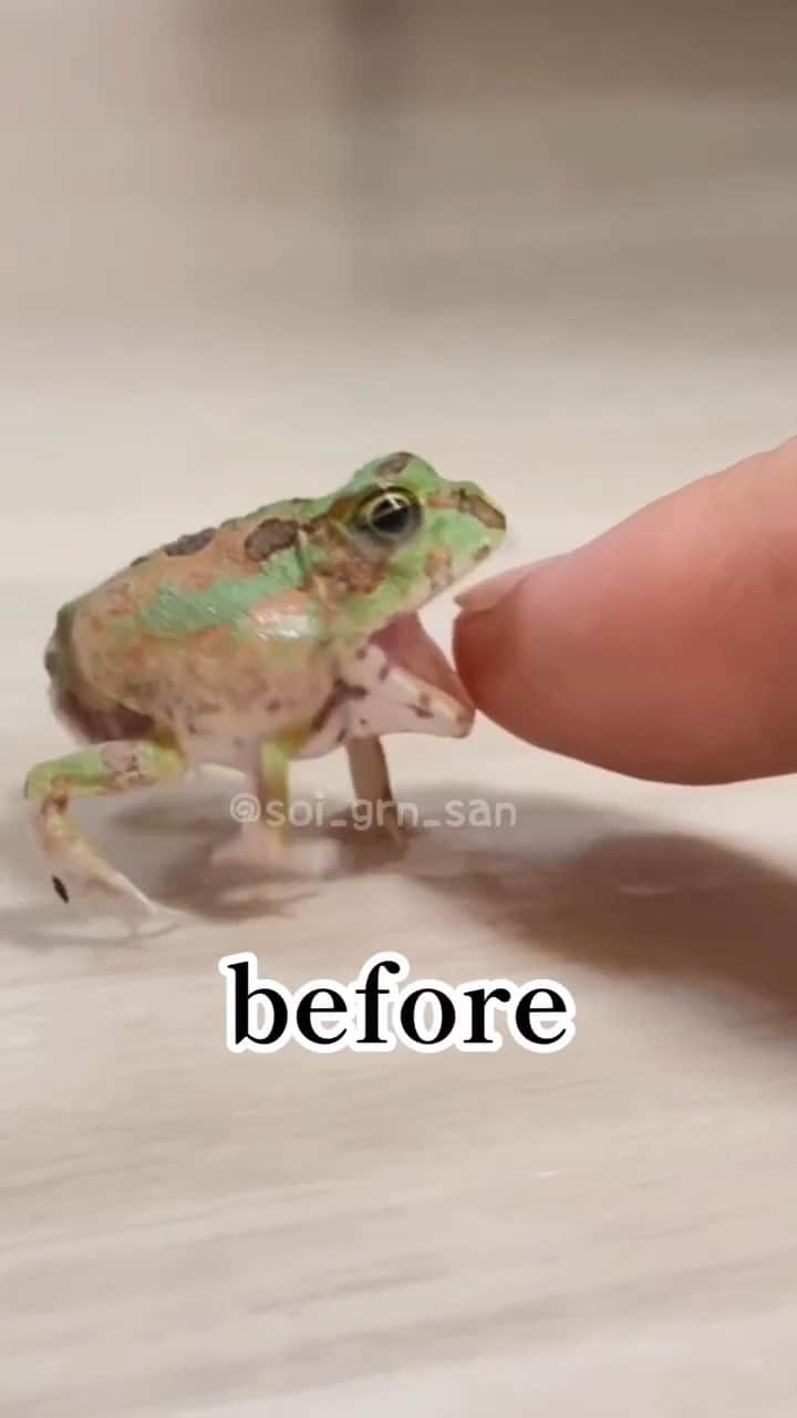 9GAGのインスタグラム