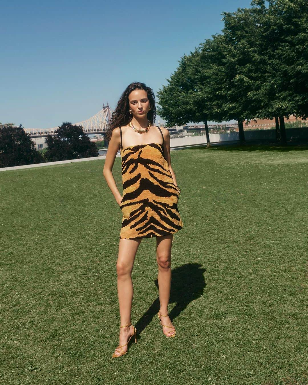 オスカーデラレンタのインスタグラム：「Eye of the tiger. The season’s chenille tiger fabrication presents as an a-line dress—the ultimate wear everywhere statement. #odlrprespring2024  Tap to shop and click the link in bio to discover.」