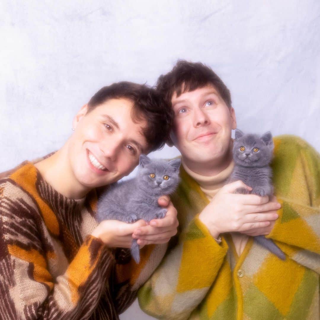 ダニエル・ハウウェルのインスタグラム：「presenting: the Dan and Phil and Cats 2024 Calendar  12 months of dreamy retro photos with a selection of beautiful felines - bless your wall for the coming year with this celebration of ugly sweaters, awkward poses and cute killer kitties.  available now on danandphilshop.com 🌍 / us.danandphilshop.com 🌎  photography by the incredible @lindablacker and designed by @divine.gnosis」