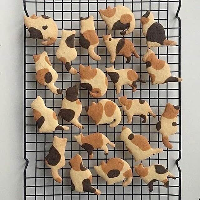 Cute Pets Dogs Catsのインスタグラム：「LINK IN BIO - Surprise everyone this Holiday Season 🌲😻  Tag a friend who makes cookies 🍪  Order link in our bio ↙️ @dailycatclub   🛒 Free Shipping Worldwide」