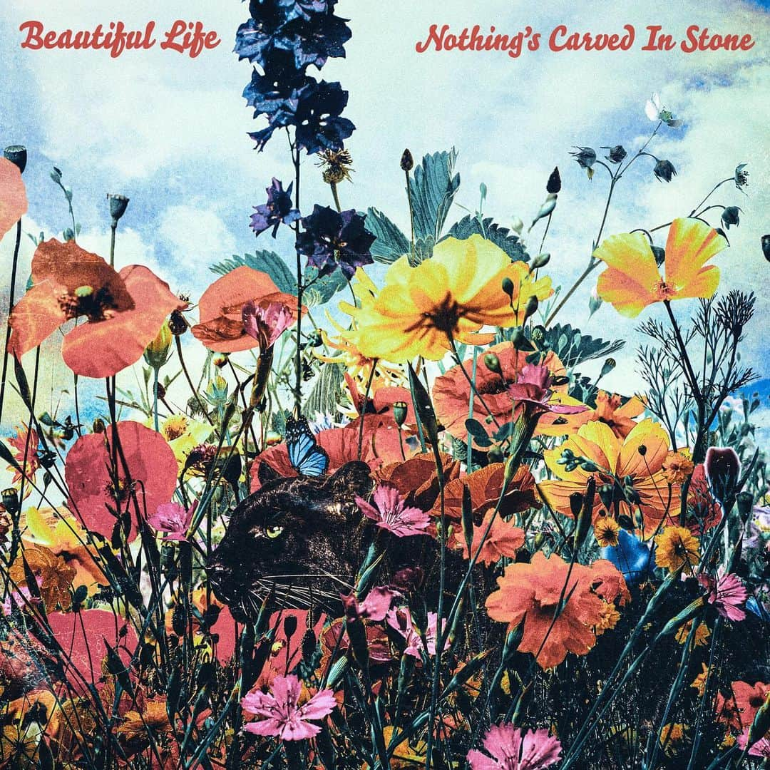 Nothing’s Carved In Stoneさんのインスタグラム写真 - (Nothing’s Carved In StoneInstagram)「【15th Anniversary History】 ⁡ ■2021年 Digital Single 『Beautiful Life』ジャケット写真 2021年9月8日リリース ⁡ ——————— Nothingʼs Carved In Stone 15th Anniversary "Live at BUDOKAN" 2024年2月24日(土)日本武道館 OPEN 16:30 / START 17:30 ⁡ ▼チケット ・指定席：8,200円(税込) ・学割指定席：6,200円(税込) ・ファミリー指定席：【親】8,200円(税込) / 【子供】6,200円(税込) ⁡ ▼ツアーWEB先行受付中(先着)！ https://eplus.jp/ncis-hp/ ⁡ #NothingsCarvedInStone #ナッシングス #NCIS #SilverSunRecords #liveatbudokan #日本武道館 #ナッシングス武道館」11月16日 19時20分 - nothingscarvedinstone