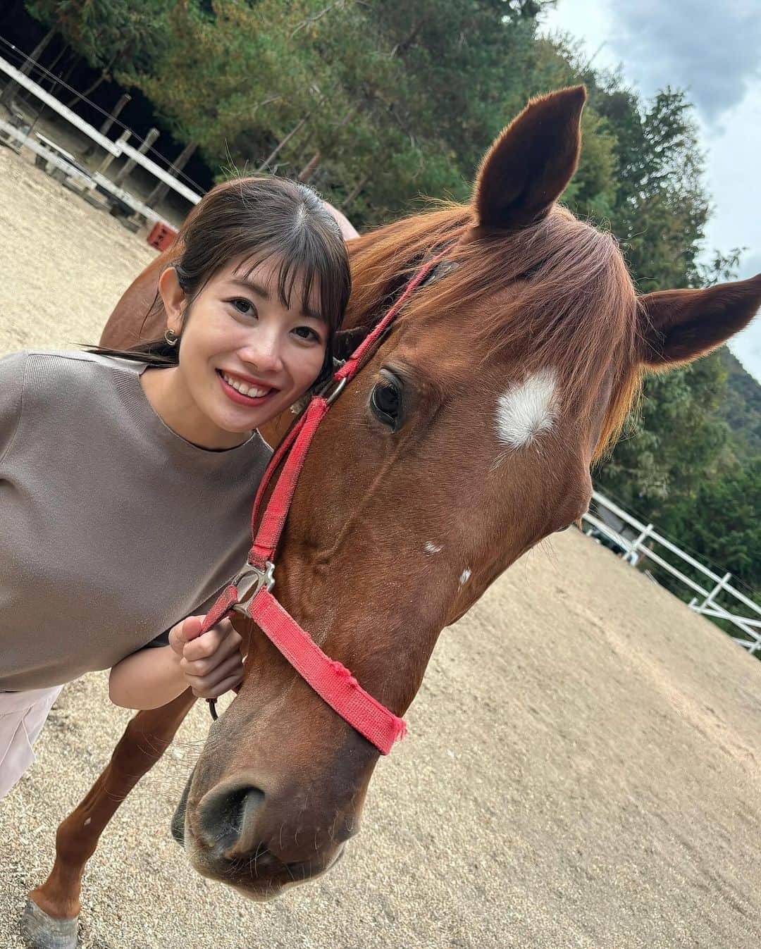 梅山茜のインスタグラム：「. ＊ホーストレッキング🐴＊ . 先日ロケで乗馬してきました🏇💕 昔乗馬はしたことあるけど山道や公道を歩くのは初めて！ 凸凹道はアトラクションみたいで楽しかったし 何より可愛すぎてめっちゃ癒された🥺  この日から毎日千ちゃん(乗った馬)のこと考えてたし また乗りたいよーー🐎！！！  放送は今日だったけど番組YouTubeにもあがるので ぜひ見てください🌷またお知らせします！ . #アナウンサー#フリーアナウンサー#女子アナ#乗馬#乗馬女子#ホーストレッキング#京都#競走馬#天橋立#橋立の馬屋」