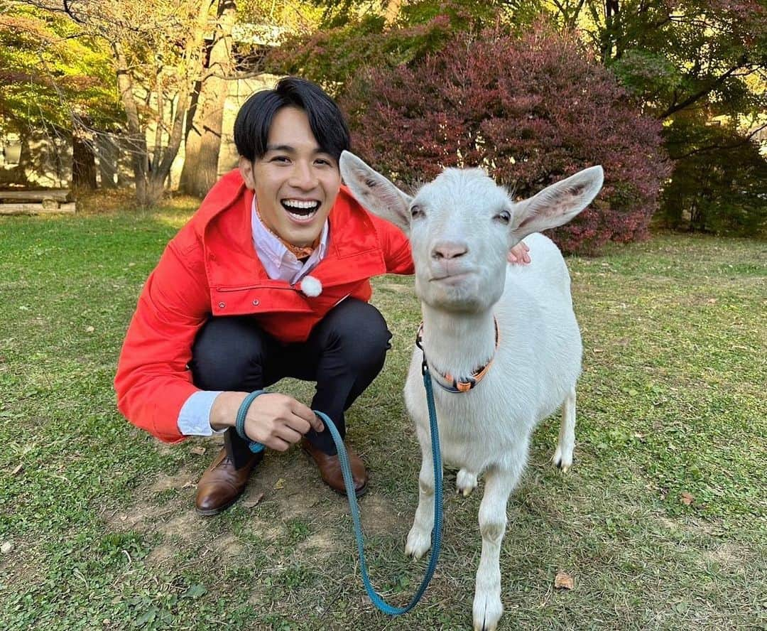 武隈光希さんのインスタグラム写真 - (武隈光希Instagram)「動物園じゃありません！ 〜オールインクルーシブホテル　『八ヶ岳ホテル風か』編〜 . . . 全部コミコミ1万円台で楽しめるホテル、第五弾！  こちらのホテルではなんとヤギを飼っていて、一緒にお散歩できるんです🐐 子供達もたくさん集まっていて本当に楽しそう！ 僕はどちらかというと散歩される側で、翻弄されていましたが😭  他にもライブキッチンがあり、夜は贅沢なフレンチ。 夕食後は焚き火の近くでくつろぎ、ゆっくりと星を眺められます！  また子供がおおきくなったら行きたいですね〜！！！  #オールインクルーシブ #ホテル風か #ヤギと散歩 #テレビ朝日 #アナウンサー #グッドモーニング #あらいーな」11月16日 19時21分 - mitsuki.takekuma_ex