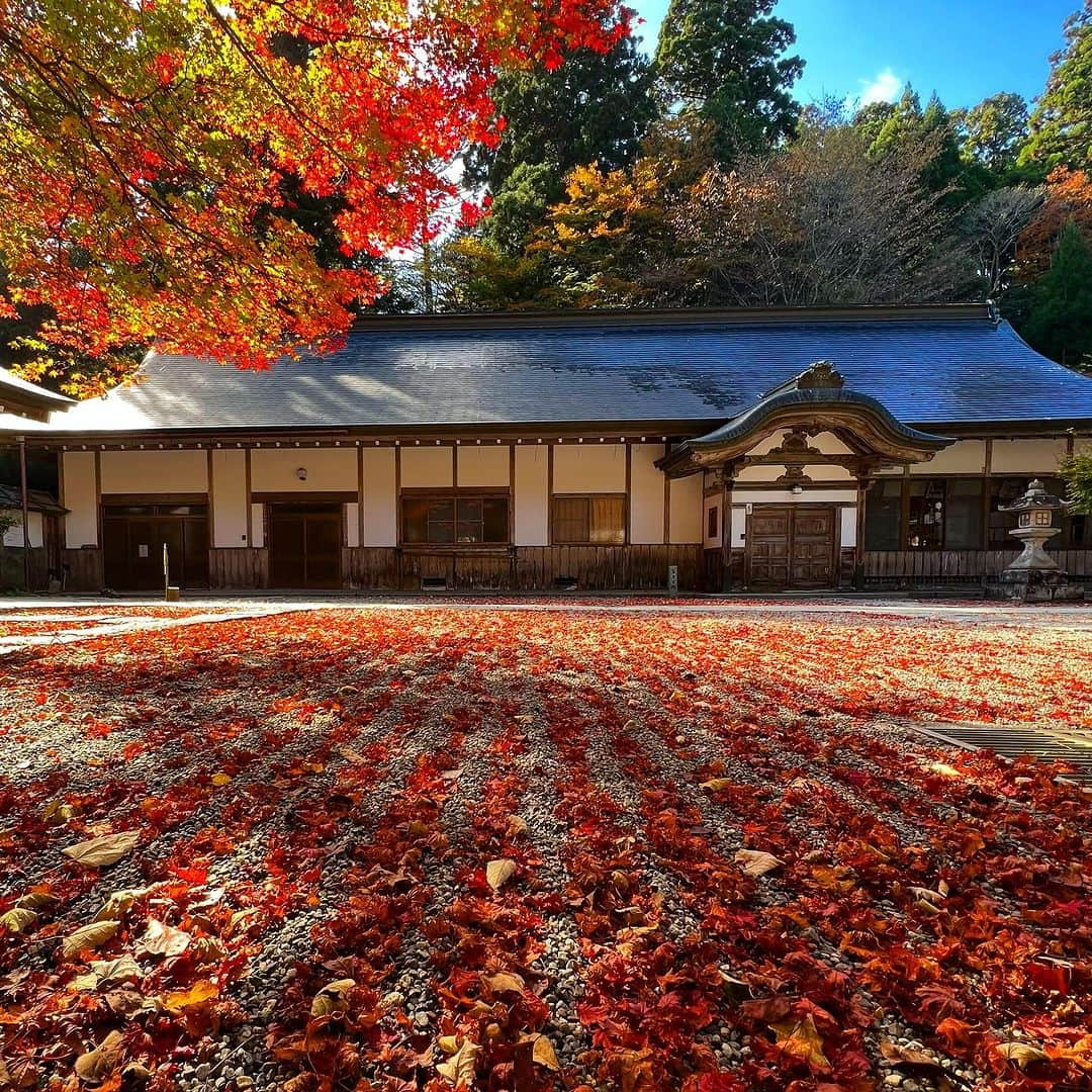 琵琶湖グランドホテル / 京近江のインスタグラム：「比叡山延暦寺、横川エリア元三大師堂の秋。 #比叡山延暦寺 #横川 #元三大師堂 #世界遺産 #秋 #紅葉 #日本天台三総本山 #滋賀観光 #今こそ滋賀を旅しよう #びわ湖大津いいね #シガリズム #滋賀 #京都 #旅行 #琵琶湖グランドホテル #京近江 #hieizanenryakuji #temple #autumn #redleaves #autumnleaves #gobiwako #hellootsu #shiga #kyoto #japan #travel #biwakograndhotel #kyooumi @enryakuji  @biwakograndhotel_kyooumi」