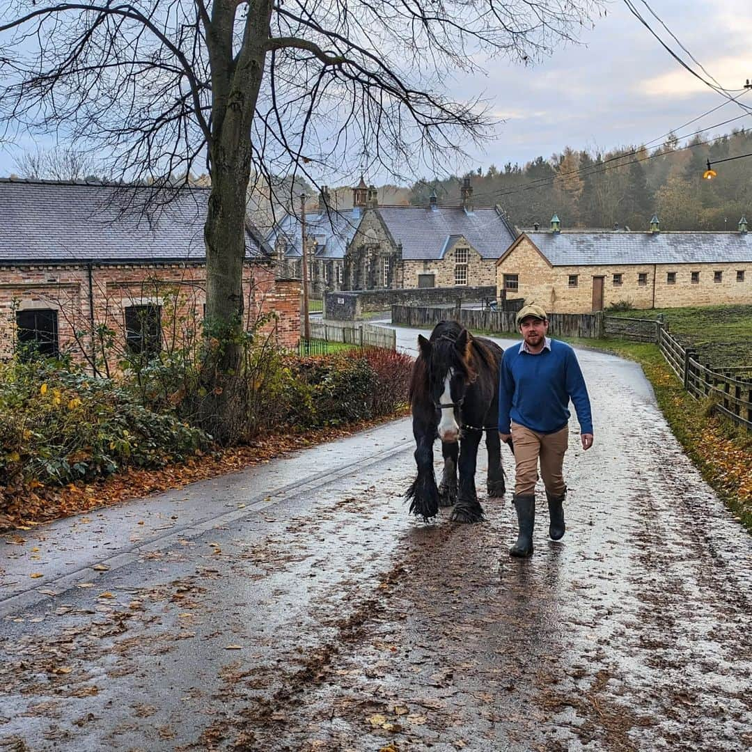 ベーミッシュ美術館さんのインスタグラム写真 - (ベーミッシュ美術館Instagram)「Morning walks 🐴🧡  #horse #morningwalks #autumnwalks #horselife」11月16日 19時40分 - beamish_museum