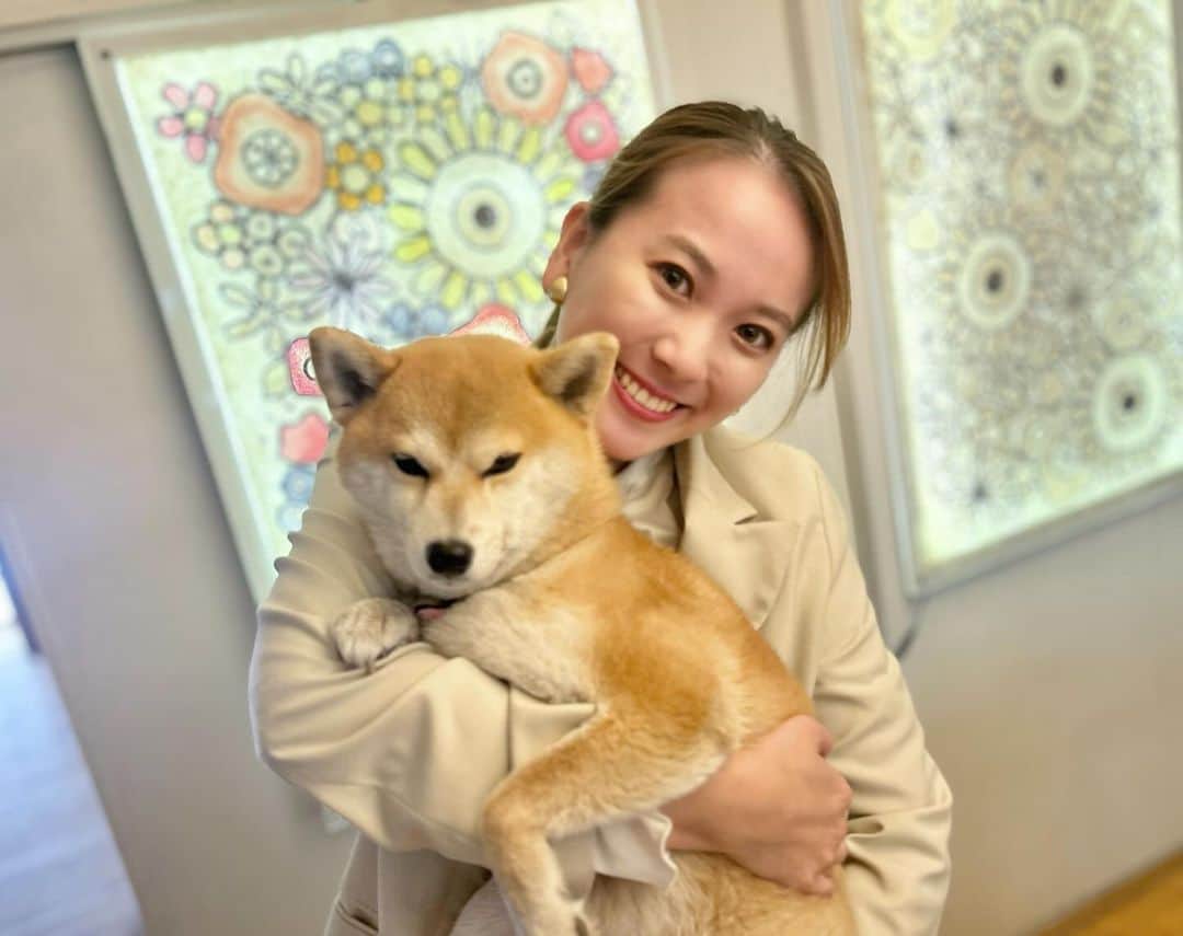 横山あさみさんのインスタグラム写真 - (横山あさみInstagram)「この前の行ってみっがで かわいすぎるワンコに出会いました❣️  薩摩和紙製作所のあきちゃんです🐕カワイイ  和紙デザイナーの原口さん！ 手掛ける照明はやさしくてあたたかくて、癒されました♡  #かごピタ #行ってみっが #鴨池 #鹿児島  #薩摩和紙製作所 #和紙 #アナウンサー #横山あさみ #横やん #柴犬 #豆柴」11月16日 19時44分 - asami__yokoyama