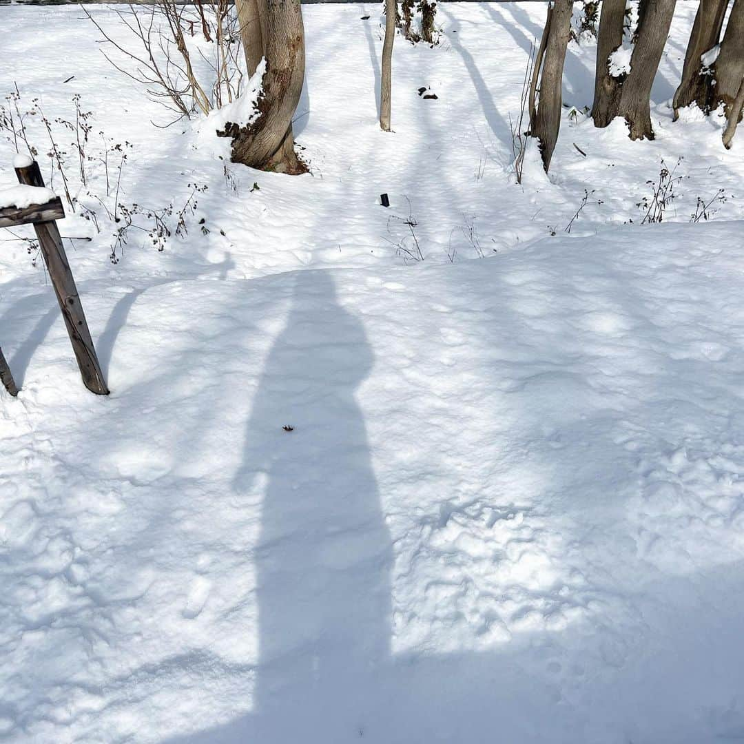 白川蘭珠さんのインスタグラム写真 - (白川蘭珠Instagram)「.  朝パン🥐⛄️」11月16日 20時06分 - ranju_nishihara