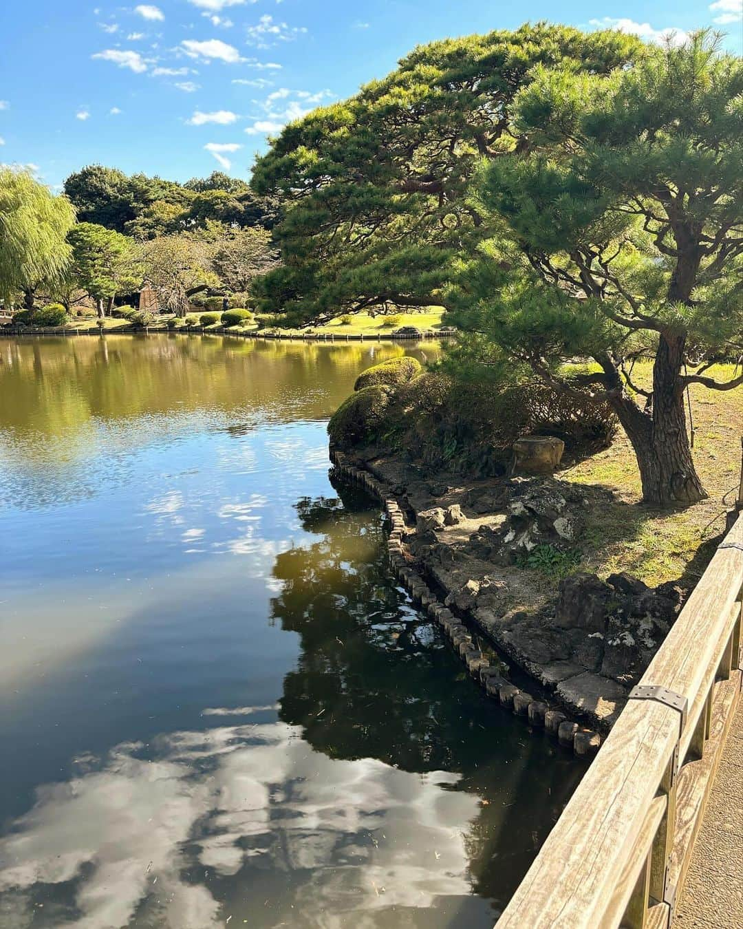 秦はるかさんのインスタグラム写真 - (秦はるかInstagram)「秋散歩。 どんぐりたくさん落ちてたよ🍂」11月16日 20時14分 - _hataharuka_