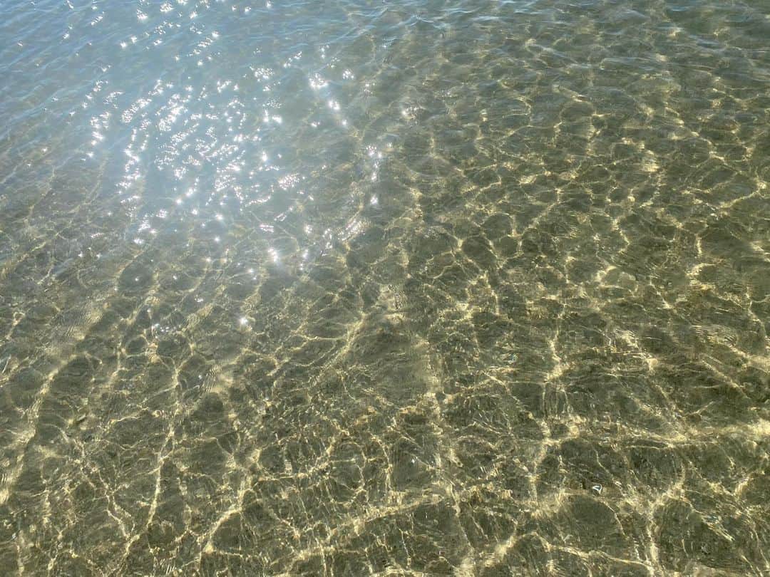 タテタカコのインスタグラム：「太陽と海がありがたかったです✨🙏✨ 連れてってくださってありがとうございました。」