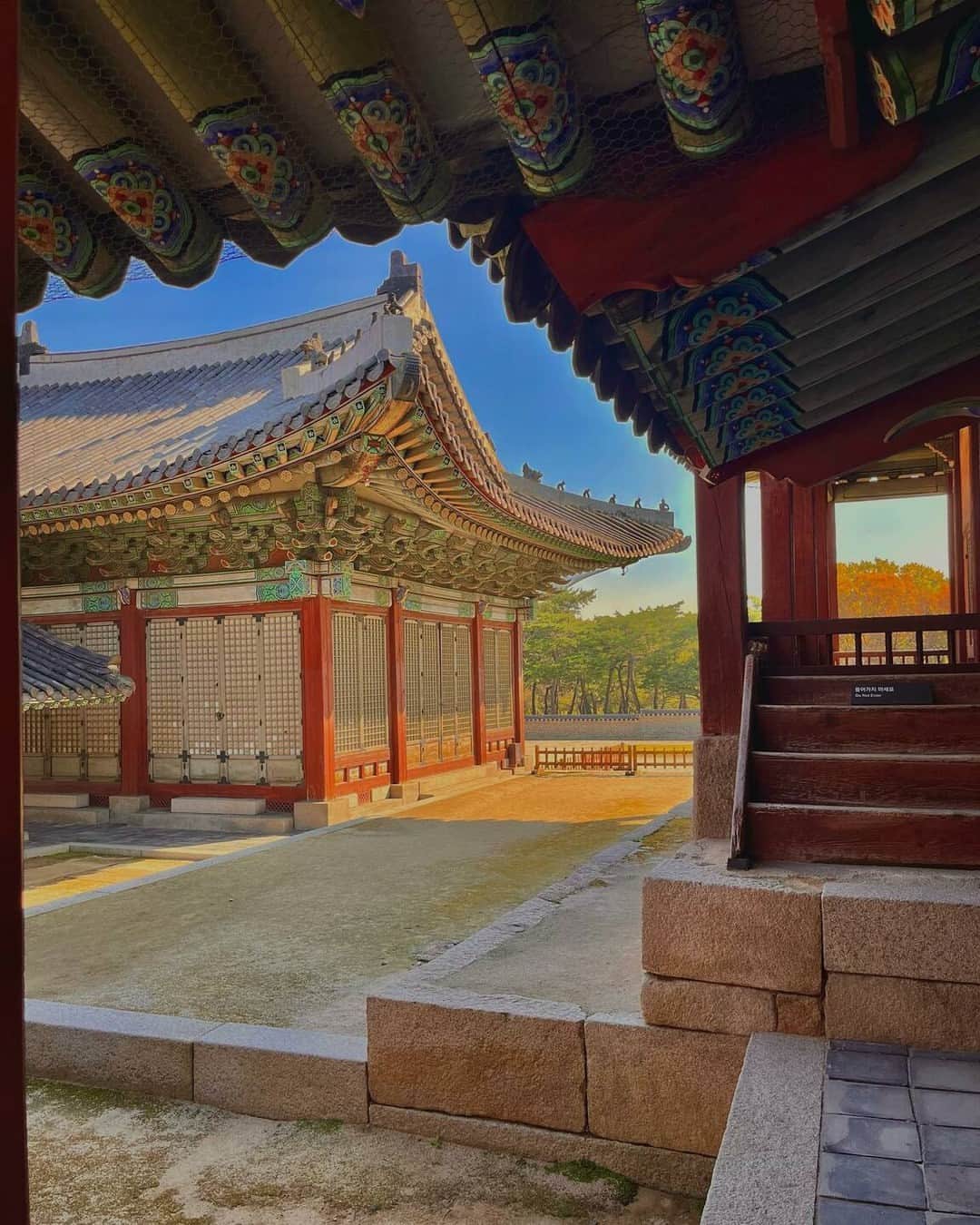 東京カメラ部公式のインスタグラム