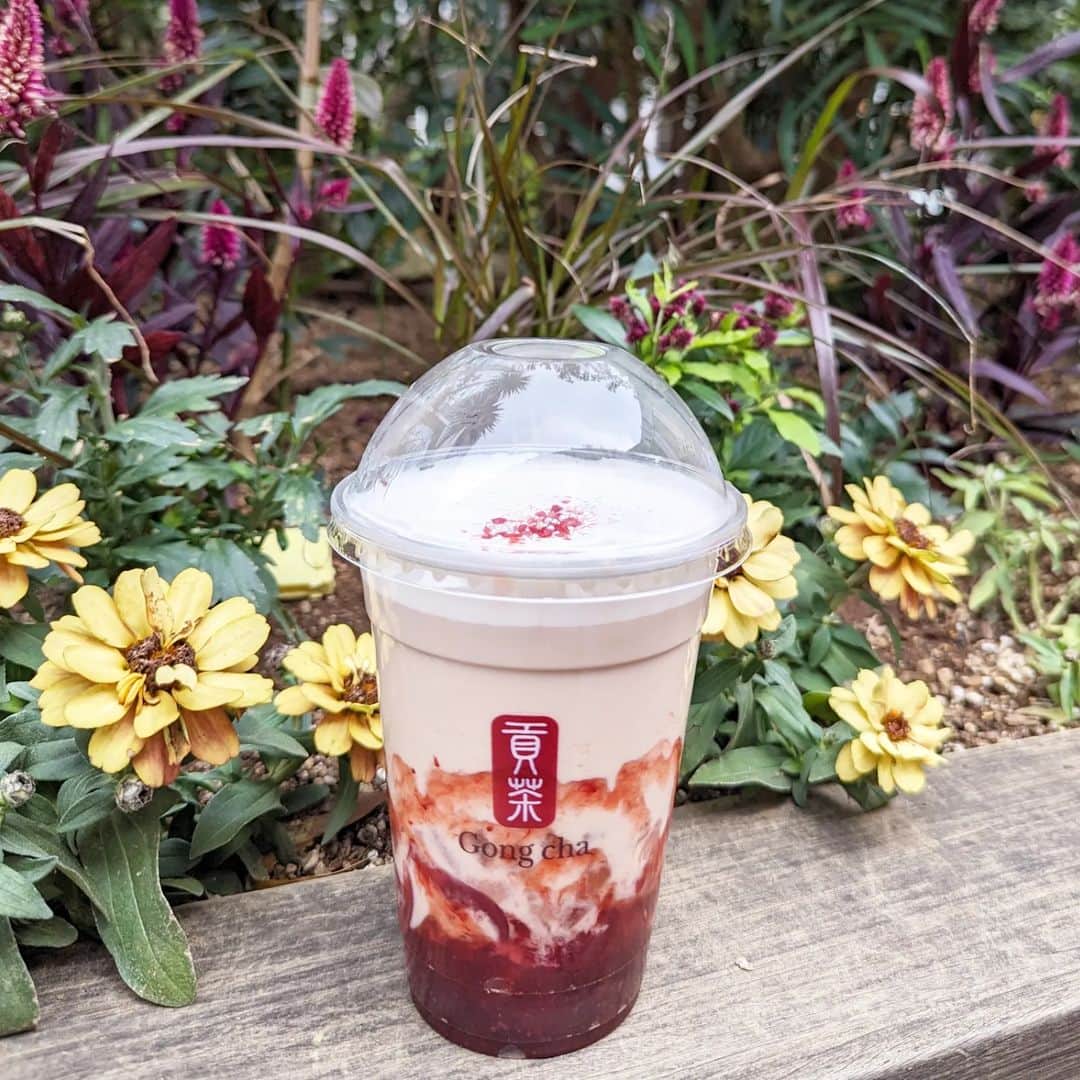 Kuboi Ayumiさんのインスタグラム写真 - (Kuboi AyumiInstagram)「【期間限定】Gong cha ホリデーシーズン限定・あまおうドリンクがはじまったよ！  どこを歩いていてももうクリスマスムード。 今年もあっという間に終わっちゃいそうなので、ちょっとスケジュールを見直そうっと。  家族みんな大好きなGong cha（@gongcha_japan） へ。 お目当ては、今日からはじまったばかりの「あまおう」を使ったドリンク。  アールグレイティーに「あまおう」を組み合わせたミルクティーとフローズンティーが登場しました。  ・あまおうノエル ミルクティー(ICED/HOT) ・あまおうノエル フローズンティー  柑橘系のベルガモットの華やかな香りで人気のアールグレイティーがベース。 いちごの王様とも言われているあまおうは濃厚な酸味と甘みが特徴です。  今回の新作には、そんなあまおうのゼリーと果肉の食感も楽しめるストロベリーソースが使われています。 ドリンクの最後には、カリッとした歯ごたえのストロベリーキャンディーとアラザンがトッピングされていて、 見た目もかわいいデザートのよう。  クリスマス限定ということで、12月25日までなので、機会があったら飲んでみてくださいね。  ちなみに、私のおすすめは、あまおうノエル ミルクティーのHOTを甘さをゼロに。 そしてパール（タピオカ）トッピングをするともっちもちのタピオカになって、めちゃめちゃおいしいので、お試しください。  数量限定で無くなっちゃう可能性もあるので、気になる方はお早めに♡  ■ゴンチャ ルミネ池袋店 (Gong cha) 〒171-0021 東京都豊島区西池袋１丁目１１−１ ルミネ池袋 8F  ○+●+○+●+○+●+○+●+○+●+○+●+○+●  @himekagami　←check♡  おうちごはん が楽しくなるお取り寄せグルメ や 簡単＆時短ごはん、育児情報など発信中！ 投稿が気に入ったら保存&フォローしていただけるとうれしいです。 いつもありがとうございます(^^)  ○+●+○+●+○+●+○+●+○+●+○+●+○+●  #貢茶 #ゴンチャ #strawberry #いちごスイーツ #ご褒美スイーツ #gongcha #タピオカ #カフェ巡り #東京カフェ #東京グルメ #池袋 #池袋カフェ #池袋グルメ #カフェ活　 #cafestgram #かふぇすたぐらむ #ルミネ池袋」11月16日 20時30分 - himekagami