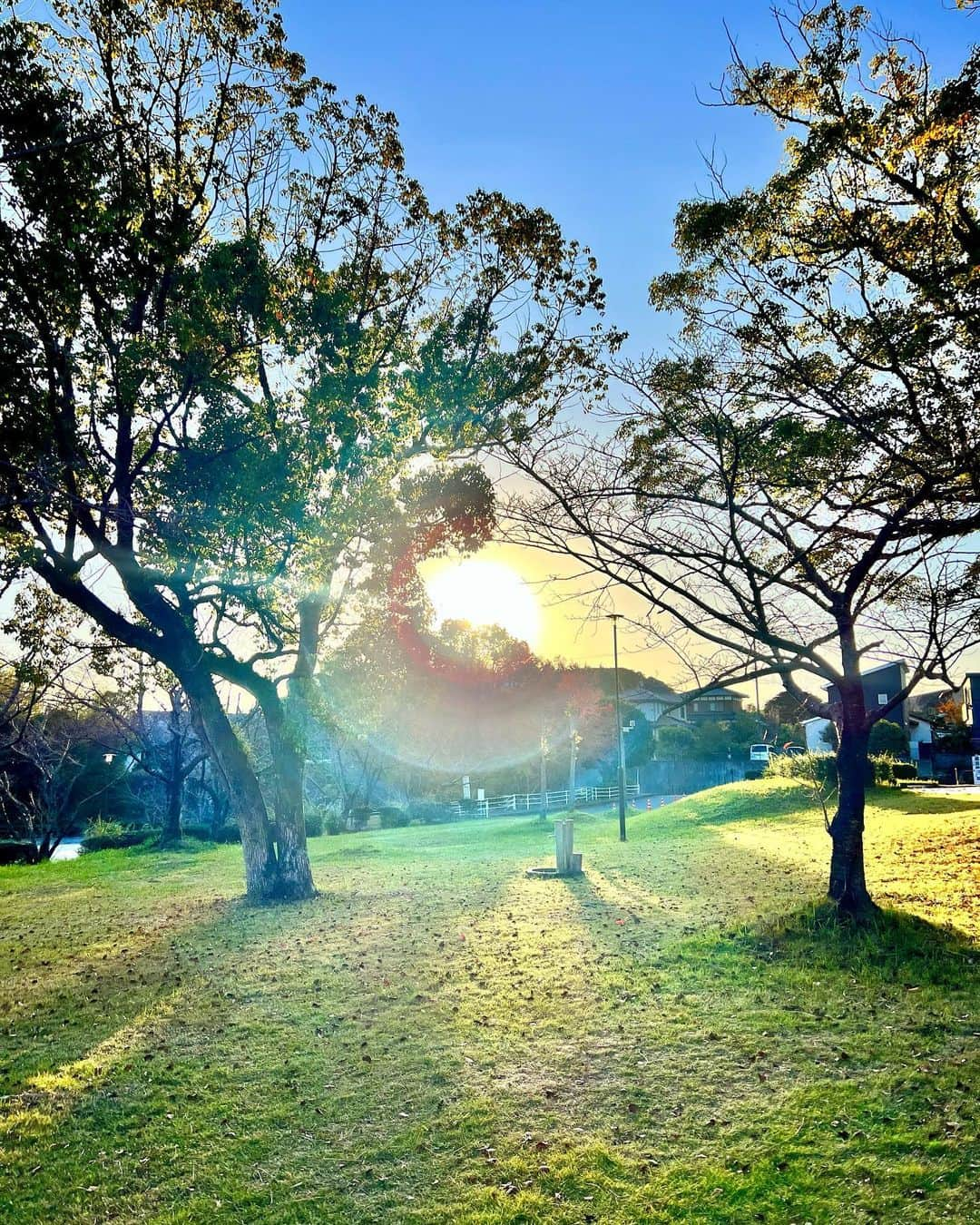 草野春香さんのインスタグラム写真 - (草野春香Instagram)「.  好きな組み合わせ🌞🌴  公園行った帰り道に見れた🫶🏾 私の携帯には夕日の写真もたくさん🎞💞🫧  #sunset #sunsetlovers」11月16日 20時31分 - _haruka030_