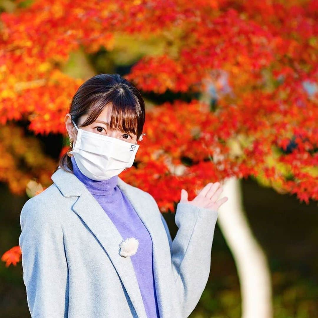 林田雪菜のインスタグラム：「秋のくまもとお城まつり あすから始まります🏯🍁 早速あす17日(金)から 旧細川刑部邸限定公開と紅葉ライトアップ、熊本城ライトアップ、二の丸竹あかりなどが楽しめますよ🫶  1枚目は2年前に旧細川刑部邸からお天気中継した時の写真です！ 2枚目以降は今年の写真なんですけど、綺麗に木々が色づいています💛 夜ライトアップされた紅葉はすごく素敵で、竹あかりはもちろん、旧細川刑部邸の雰囲気も相まって とても映える、美しい空間になっています🥹  熊本城のライトアップも素敵🏯🤍  私もお天気が良くてそこまで寒く無い日に行きたいと思います笑 来週あたりチャンスだな〜😏 寒い日に紅葉見るのも素敵ですけどね！  #秋のくまもとお城まつり #秋のくまもとお城まつり2023 #熊本 #熊本観光 #熊本市 #旧細川刑部邸 #熊本城 #熊本紅葉 #竹あかり #あすから12月3日まで #pr #ライトアップ #映えスポット #映えスポット熊本」