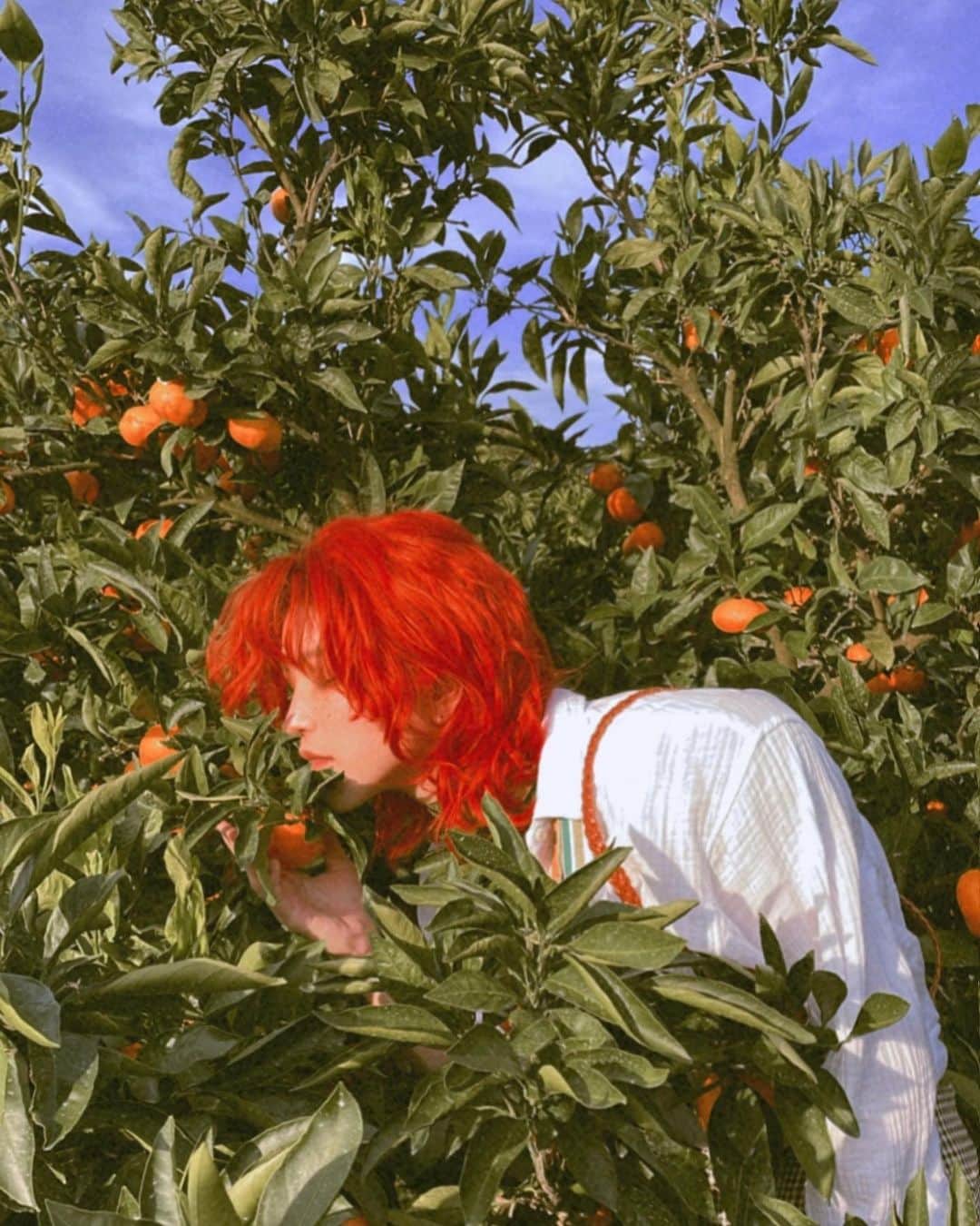 ズミさんのインスタグラム写真 - (ズミInstagram)「🍊☁ photo isumi  #portrait #fruitsportrait #ポトレ #コスプレ #cosplay #ポートレート」11月16日 20時53分 - zumiii_zhr