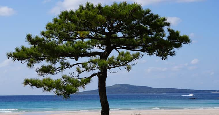 ピカ子さんのインスタグラム写真 - (ピカ子Instagram)「初の五島列島、美しい景色が満載でした」11月16日 20時53分 - pikaco_makeup