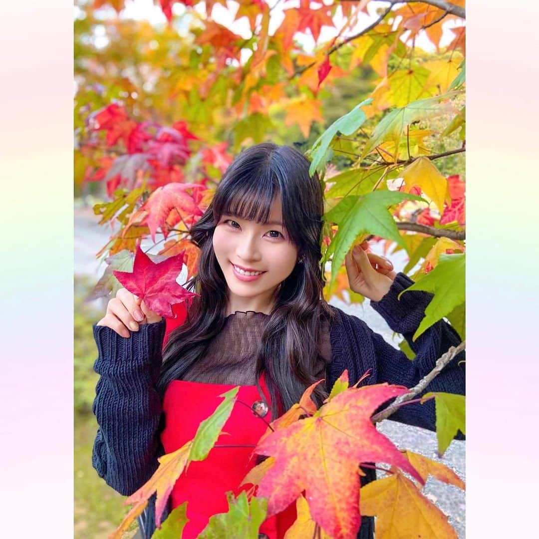 長柄ひろみさんのインスタグラム写真 - (長柄ひろみInstagram)「#Autumnleaves 🍁  街中も少しずつ紅葉してきてましたー😊🍁  皆さんの所はどうですか？？  急に寒くなったので、これから一気に紅葉していきそうですね😌🍂  現時点で綺麗に紅葉している所はあっという間に紅葉終わっちゃいそう🥺  ｡・ﾟ・。𖧷｡・ﾟ・。𖦞｡・ﾟ・。𖧷｡・ﾟ・｡𖦞。・ﾟ・。  #紅葉」11月16日 21時15分 - aoi_asahi