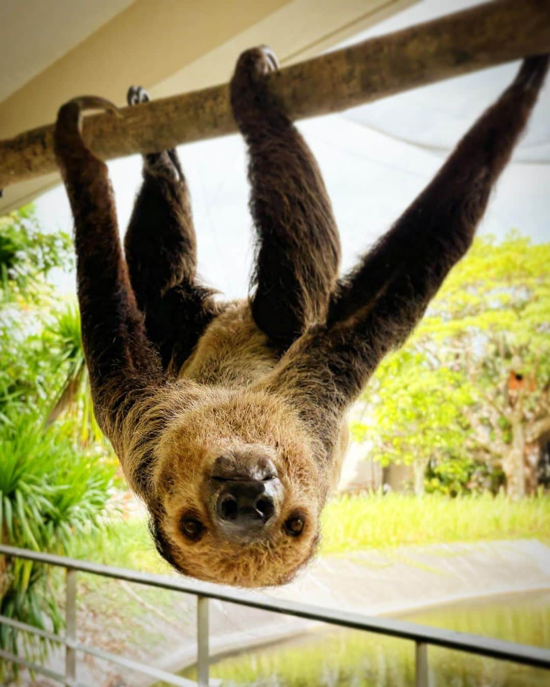 今野浩喜さんのインスタグラム写真 - (今野浩喜Instagram)11月16日 21時20分 - comnohiroki