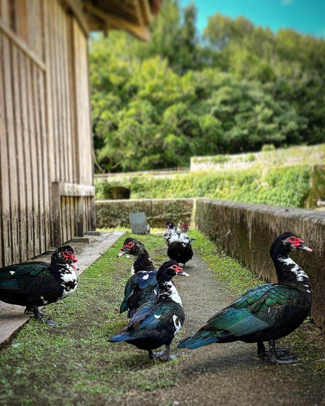 今野浩喜さんのインスタグラム写真 - (今野浩喜Instagram)11月16日 21時20分 - comnohiroki