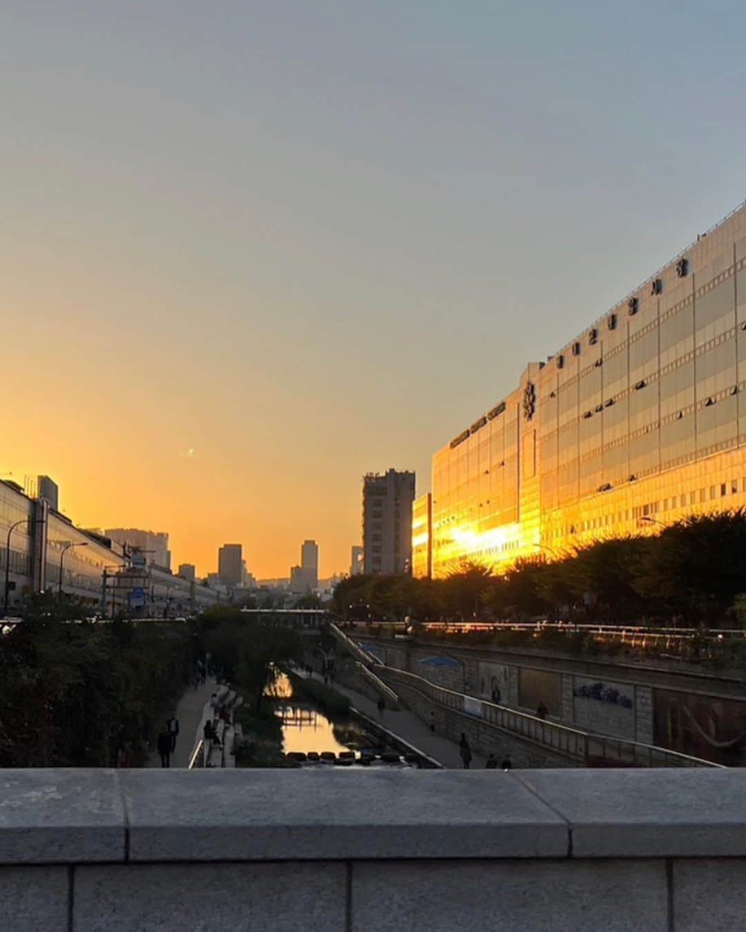 土田瑠美のインスタグラム：「記録✒️  明洞の夕日 → シースルー前髪にポニーテール → お土産に頂いたチョコレートが美味しかった！ → バイレードのキャンドルは季節に合わせて香りを変える → 大好きな後輩と楽しい時間 → ファンファーレ → 実家の愛犬に癒される → n.Quadでオイルパスタ → 樹木希林さんの言葉」