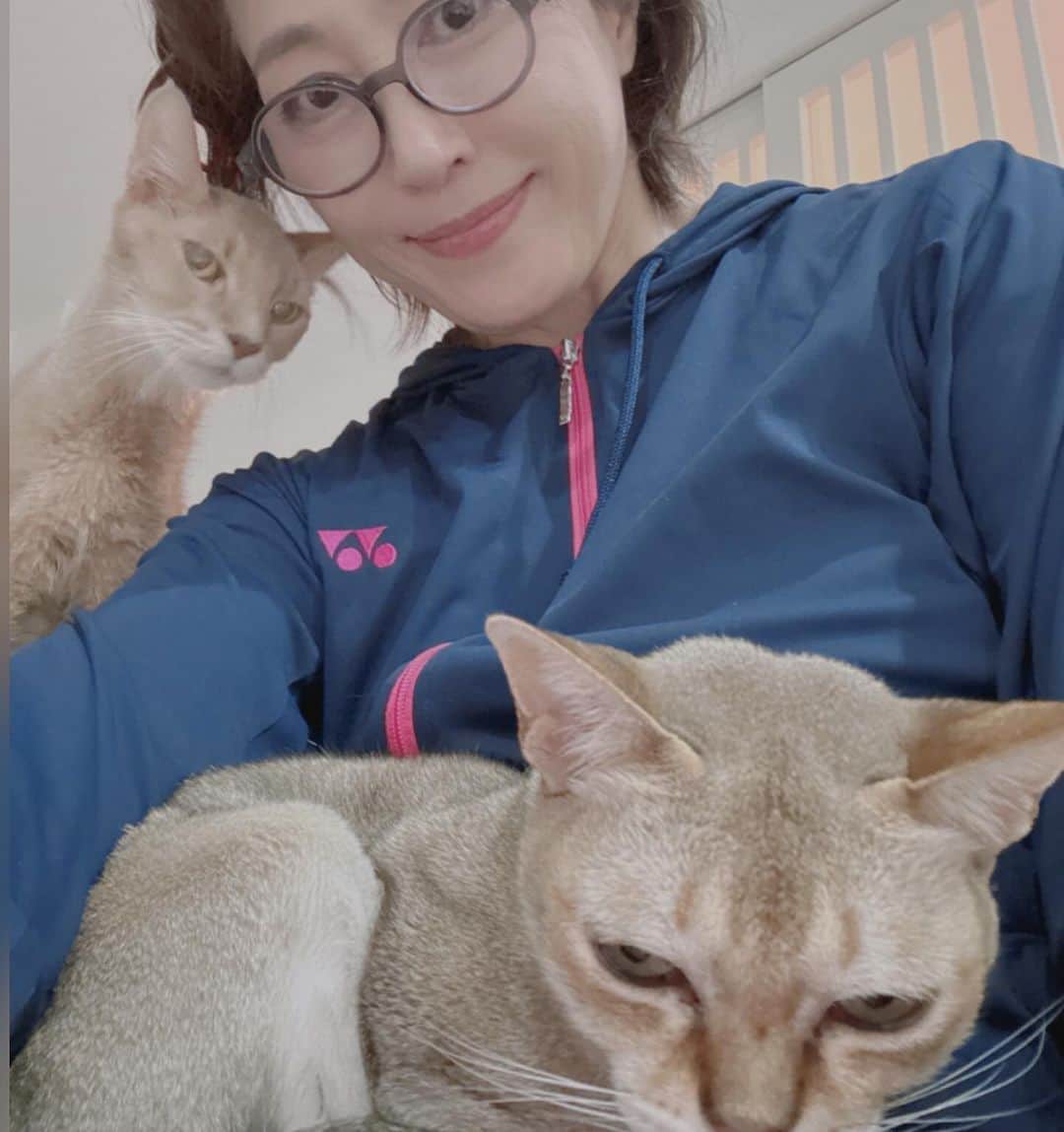 高島礼子のインスタグラム：「膝の上の取り合い🐈‍⬛ が、毎日の日課 が、毎日の喜び  #猫のいる生活 #小さな幸せ #猫が好き」