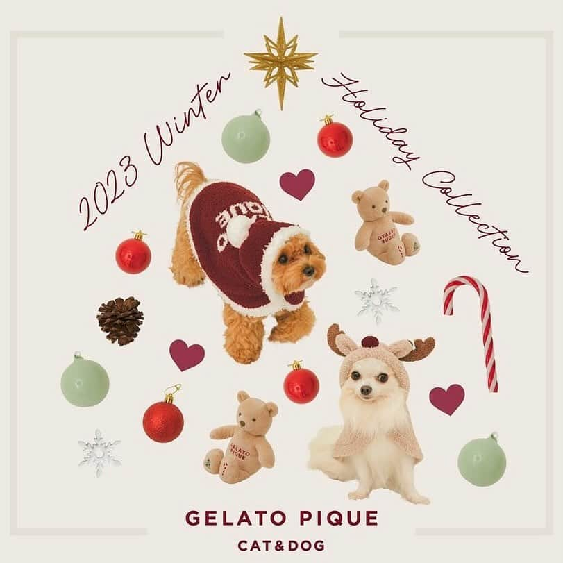 福田瞳さんのインスタグラム写真 - (福田瞳Instagram)「. . @gelatopique_official 📸 🎄CAT & DOG🎄」11月16日 21時40分 - fukudahitomi610