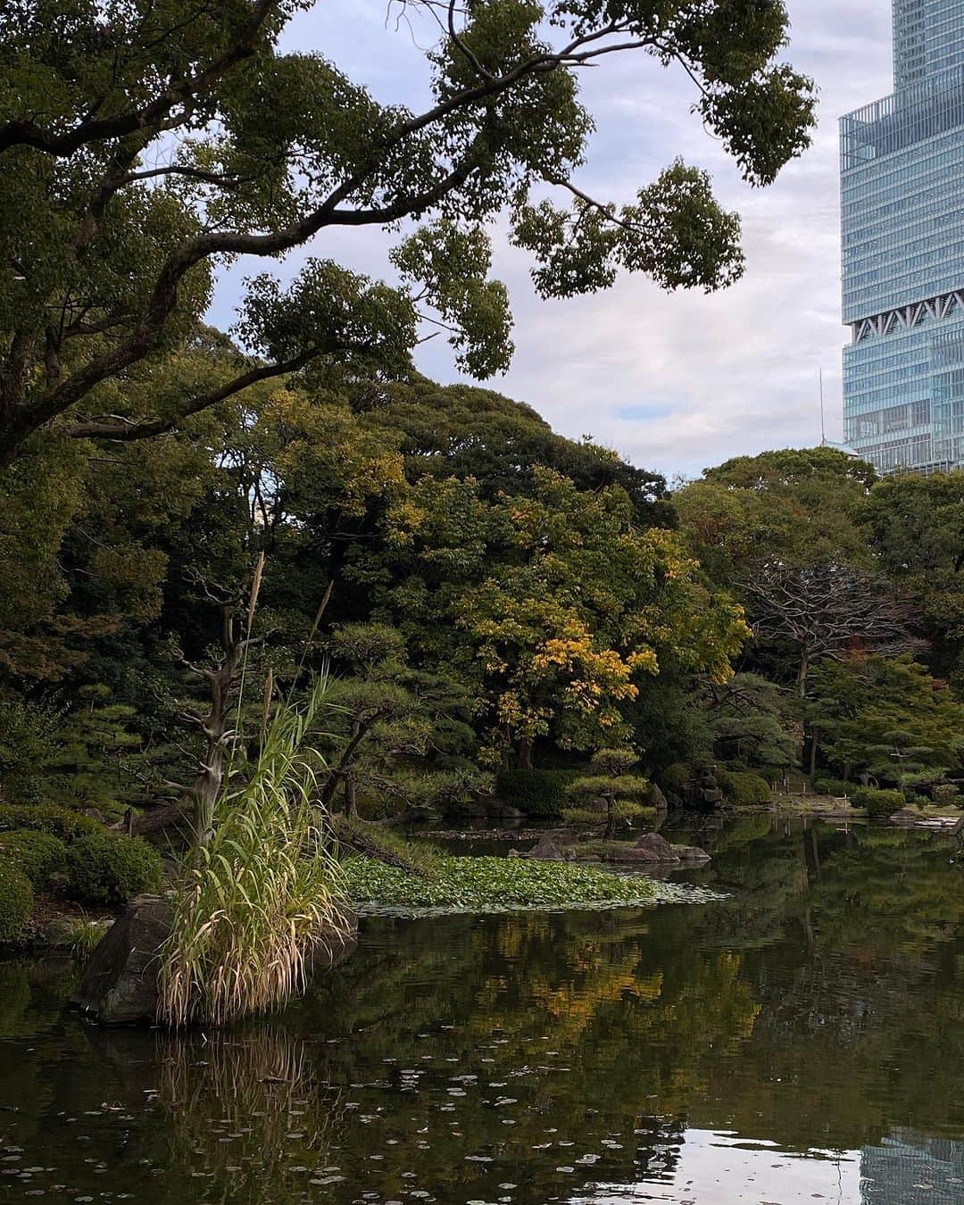 Dara Muscatのインスタグラム：「Finally FALL! I cried when I saw the view in the window of Airport Express. We barely slept for a few hours, but we are so happy to be on the road exploring more of Japan with my love @hudepohlalex. This time, we chose not to go to Tokyo at all and to spend time discovering prefectures and towns that are new to us. First day recap.🫶🏼🇯🇵🥹」