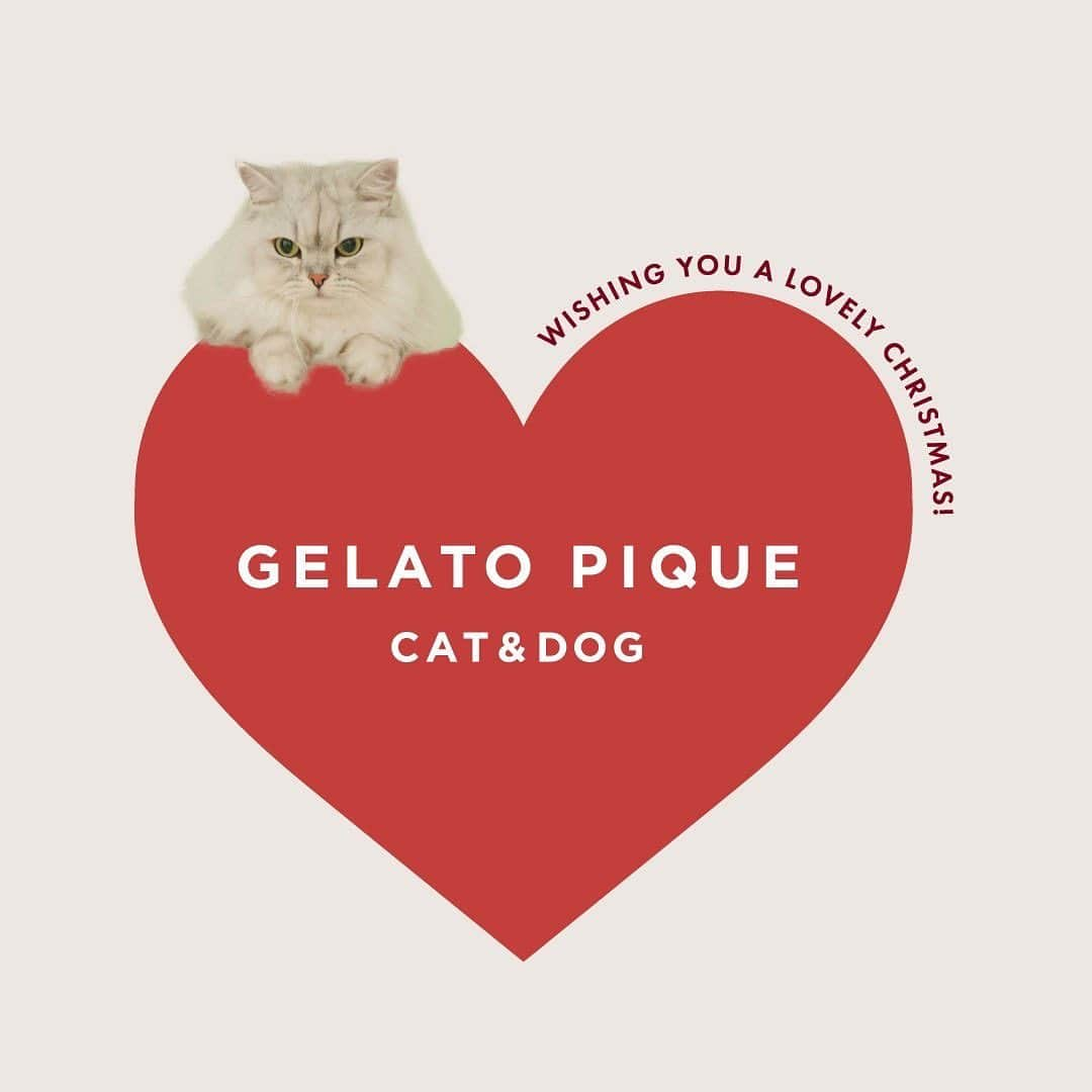 ジェラートピケさんのインスタグラム写真 - (ジェラートピケInstagram)「【NEW ARRIVAL】  ＼GELATO PIQUE CAT&DOG／  2023 Winter HOLIDAY COLLECTION🎁🎄🎅  クリスマスムード満点！ サンタクロースやトナカイがモチーフの新作が登場。ポンチョタイプのウェアは着脱がしやすく、ゆったりとした着心地なので幅広い体型に対応。クリスマスルックの愛犬と共に、ステキなホリデーをお過ごしください。  クリスマスベア🎄🧸トイは、ムードを盛り上げる刺繍がポイント。  ★一部店舗取扱 ・表参道ヒルズ店 ・ルミネエスト新宿店 ・アトレ恵比寿店 ･玉川高島屋S･C店 ・東京ソラマチ店 ・みなとみらい東急スクエア店 ・ラゾーナ川崎プラザ店 ・グランツリー武蔵小杉店 ・イオンレイクタウン kaze店 ・柏高島屋ステーションモールS館店 ・ららぽーとTOKYO-BAY店 ・ららぽーと愛知東郷店 ・名古屋MOZO店 ・ルクア大阪店 ・ららぽーとEXPO CITY店 ・ららぽーと堺店 ・西宮ガーデンズ店 ・ららぽーと福岡店 ・アミュプラザ鹿児島店  #gelatopique #ジェラートピケ #gelatopique_cat_dog #ジェラートピケキャットドッグ #dogwear #ドッグウェア #dog #cat #キャット #サンタ #トナカイ #ポンチョ #クリスマス #ギフト @gelatopique_official @usagionline」11月16日 21時36分 - gelatopique_official