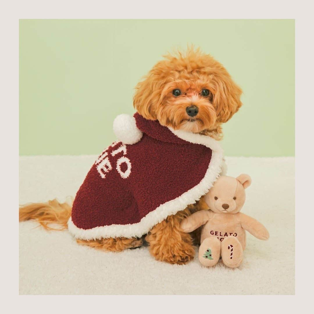 ジェラートピケさんのインスタグラム写真 - (ジェラートピケInstagram)「【NEW ARRIVAL】  ＼GELATO PIQUE CAT&DOG／  2023 Winter HOLIDAY COLLECTION🎁🎄🎅  クリスマスムード満点！ サンタクロースやトナカイがモチーフの新作が登場。ポンチョタイプのウェアは着脱がしやすく、ゆったりとした着心地なので幅広い体型に対応。クリスマスルックの愛犬と共に、ステキなホリデーをお過ごしください。  クリスマスベア🎄🧸トイは、ムードを盛り上げる刺繍がポイント。  ★一部店舗取扱 ・表参道ヒルズ店 ・ルミネエスト新宿店 ・アトレ恵比寿店 ･玉川高島屋S･C店 ・東京ソラマチ店 ・みなとみらい東急スクエア店 ・ラゾーナ川崎プラザ店 ・グランツリー武蔵小杉店 ・イオンレイクタウン kaze店 ・柏高島屋ステーションモールS館店 ・ららぽーとTOKYO-BAY店 ・ららぽーと愛知東郷店 ・名古屋MOZO店 ・ルクア大阪店 ・ららぽーとEXPO CITY店 ・ららぽーと堺店 ・西宮ガーデンズ店 ・ららぽーと福岡店 ・アミュプラザ鹿児島店  #gelatopique #ジェラートピケ #gelatopique_cat_dog #ジェラートピケキャットドッグ #dogwear #ドッグウェア #dog #cat #キャット #サンタ #トナカイ #ポンチョ #クリスマス #ギフト @gelatopique_official @usagionline」11月16日 21時36分 - gelatopique_official