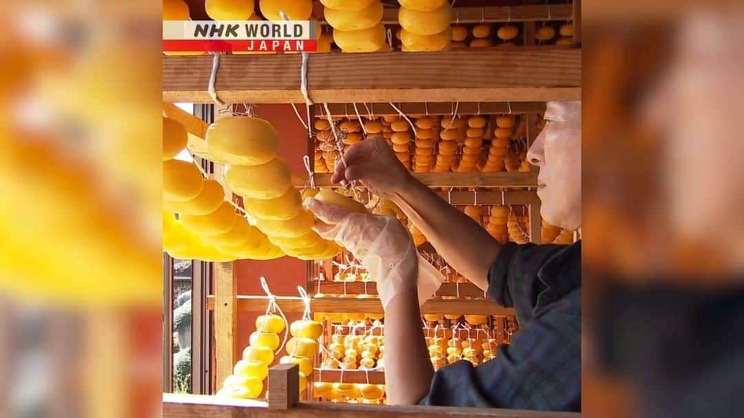 NHK「WORLD-JAPAN」のインスタグラム：「Across Japan at this time of year, persimmons hanging to dry outside people’s homes is a common sight.🧡🏡  This persimmon farm in Niigata works on a larger scale than a regular household and hangs around 1,000 per day!🟠🟠🟠🟠🟠 . 👉Watch more short clips｜Free On Demand｜News｜Video｜NHK WORLD-JAPAN website.👀 . 👉Tap in Stories/Highlights to get there.👆 . 👉Follow the link in our bio for more on the latest from Japan. . 👉If we’re on your Favorites list you won’t miss a post. . . #persimmon #driedpersimmon #winterfruit #persimmonseason #driedfruit #driedfood #sweetfruit #干し柿 #柿 #kaki #japanfood #foodfromjapan #japantravel #visitniigata #japanesetradition #niigata #nhkworldnews #nhkworldjapan #japan」