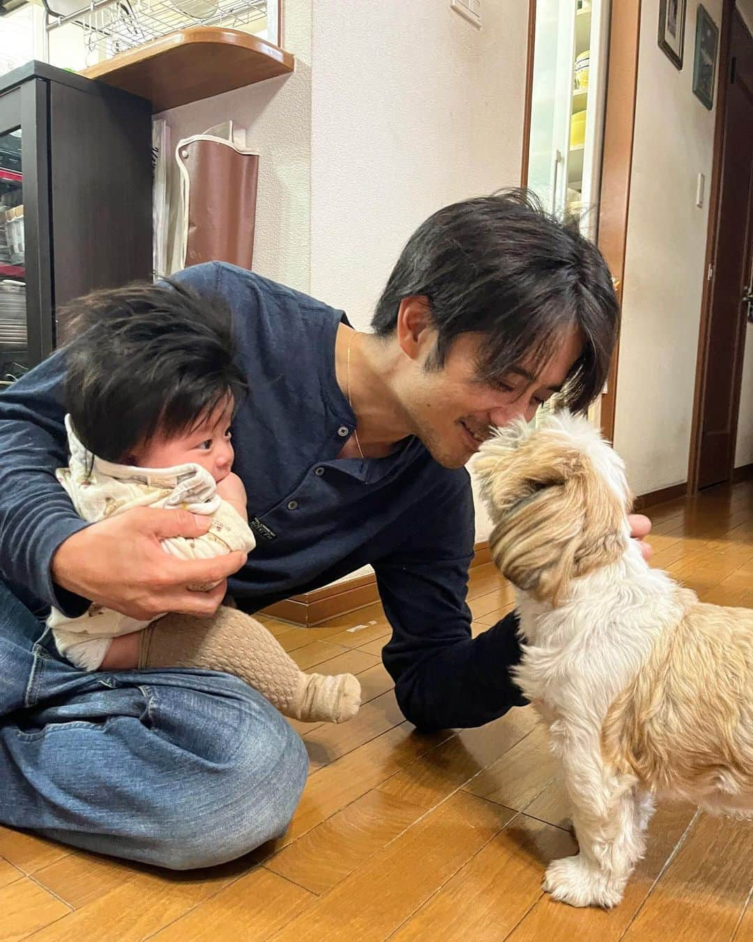 斉藤祥太さんのインスタグラム写真 - (斉藤祥太Instagram)「ムスメとはなちゃんの初対面🥰 ムスメは初めての🐶 はなちゃんは赤ちゃんが苦手?? 何されるかわからないから怖いみたい😂 どちらも可愛いワタシの最強コンビ🩷 #斉藤家 #娘も #4ヶ月 #寝返りして喜んでます #おやすみ #斉藤祥太」11月16日 22時41分 - shota_ta_sho