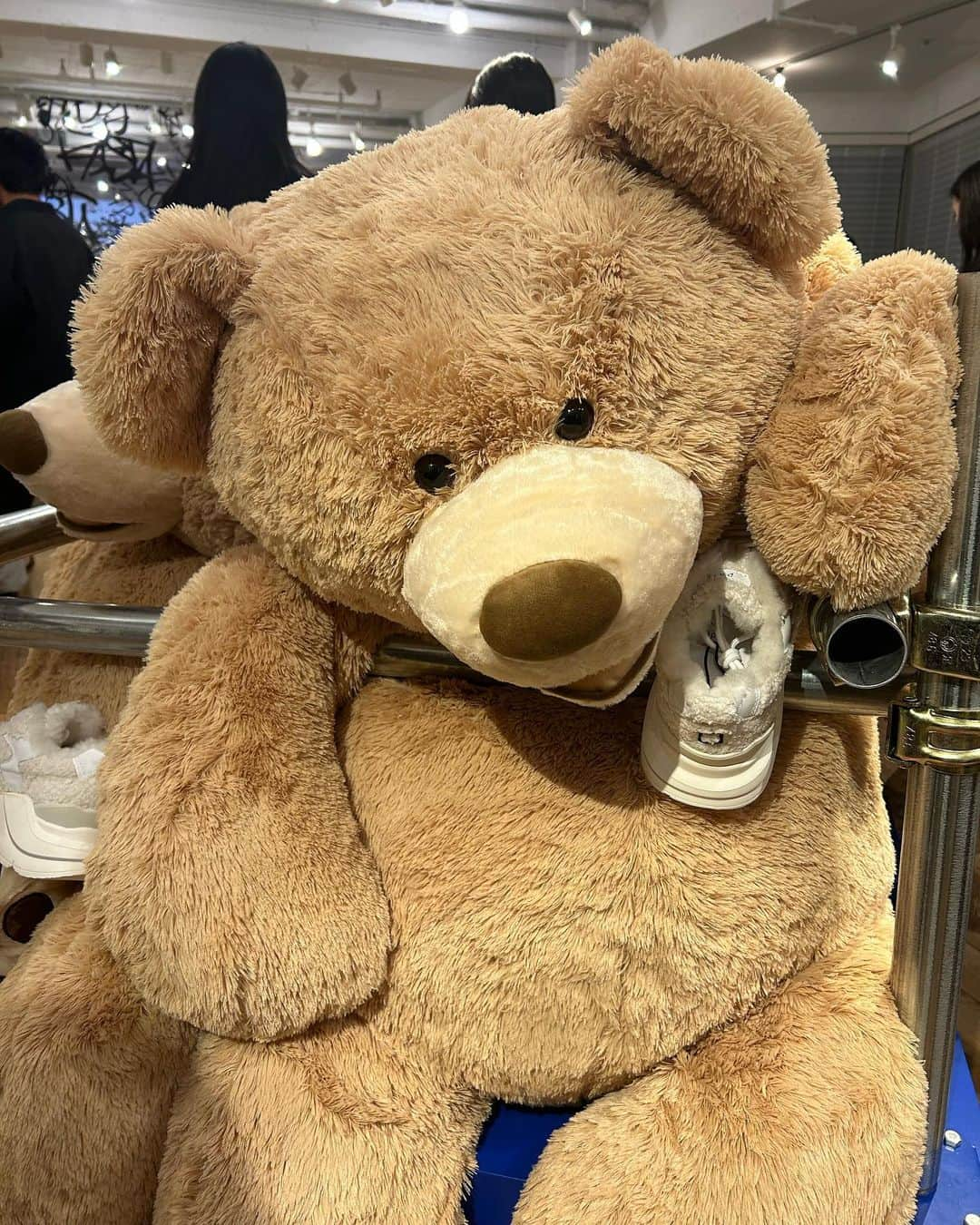 中田みのりさんのインスタグラム写真 - (中田みのりInstagram)「D.A.T.E.の日本限定モデル「TEDDY」の発売を記念したローンチイベントへお邪魔してきました！ テディベアみたいなわんこにも会えた🧸💕 イベントは11/17(金)18(土)の2日間限定です🤎  #fugateddy2023 #datesneakers #PR」11月16日 22時47分 - minori_nakada